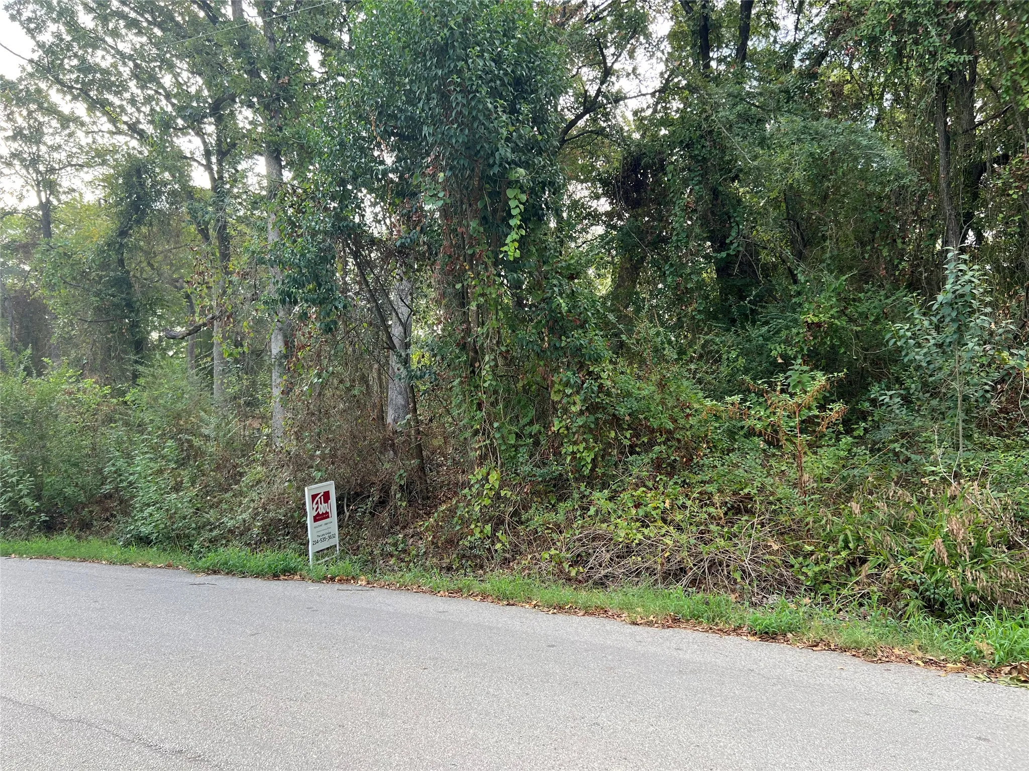 Unimproved Land For Sale in Henderson County , Lot 80 Whispering Oaks, Payne Springs, Texas 75156, 0, 0, Garage spaces, 0 Sqft, built in 0, mls#21383639, Real Estate Agent in Payne Springs, Homes For Sale in Henderson county, Homes For Sale in Payne Springs, Realtor in Payne Springs Texas, Real Estate Brokerage Independent Realty Texas, Luminita Cordes Realtor