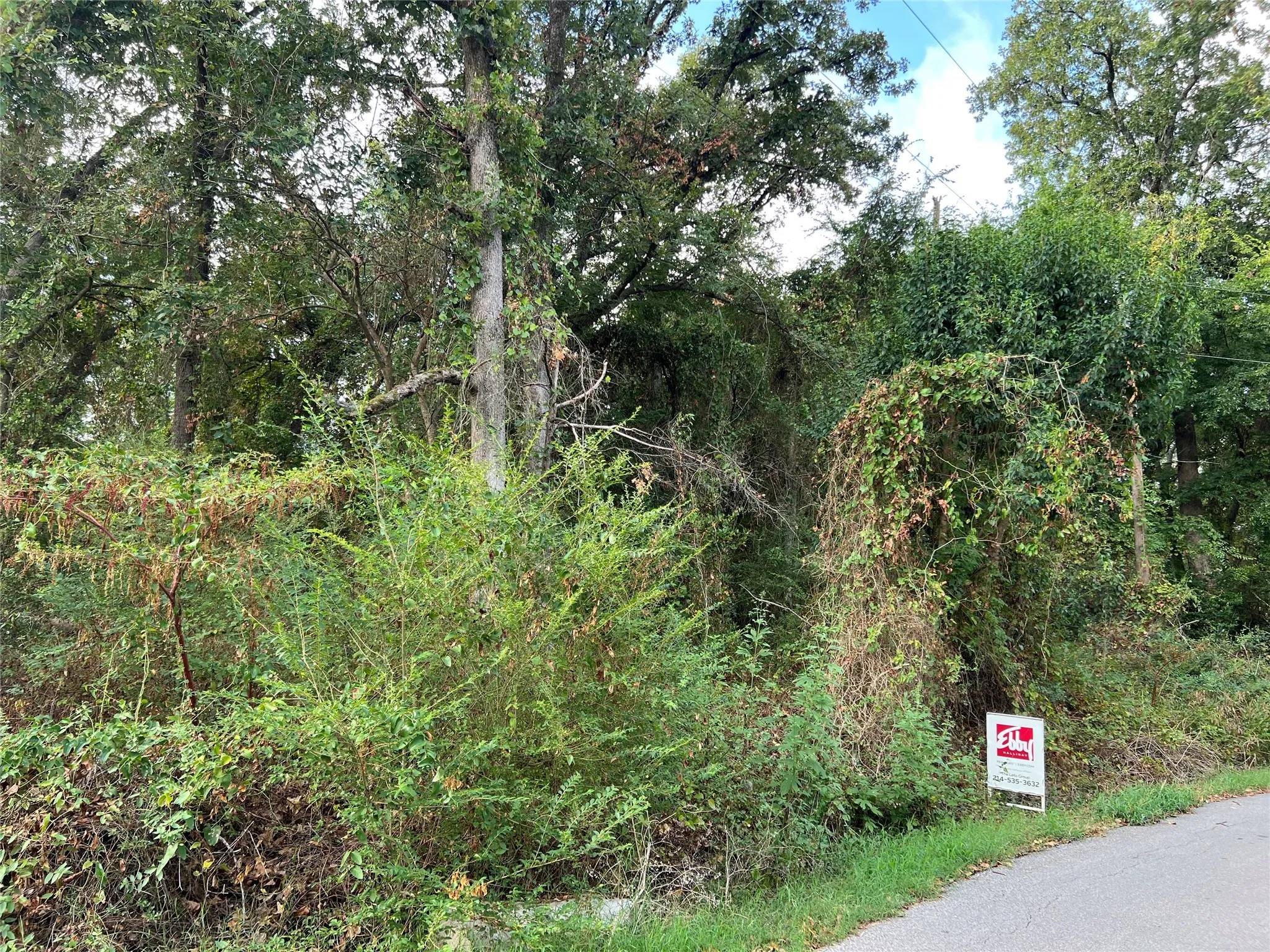 Unimproved Land For Sale in Henderson County , Lot 80 Whispering Oaks, Payne Springs, Texas 75156, 0, 0, Garage spaces, 0 Sqft, built in 0, mls#21383639, Real Estate Agent in Payne Springs, Homes For Sale in Henderson county, Homes For Sale in Payne Springs, Realtor in Payne Springs Texas, Real Estate Brokerage Independent Realty Texas, Luminita Cordes Realtor