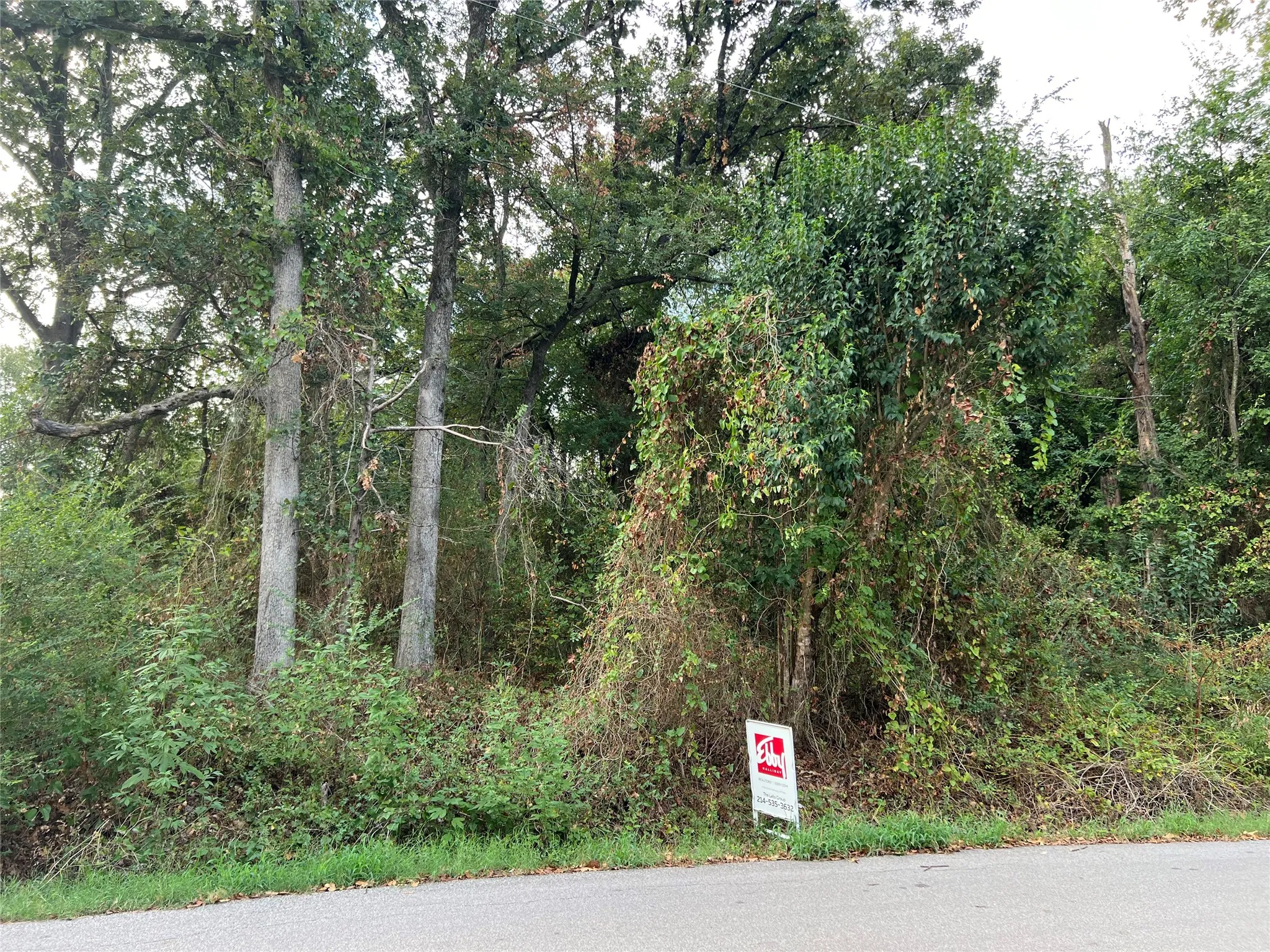 Unimproved Land For Sale in Henderson County , Lot 80 Whispering Oaks, Payne Springs, Texas 75156, 0, 0, Garage spaces, 0 Sqft, built in 0, mls#21383639, Real Estate Agent in Payne Springs, Homes For Sale in Henderson county, Homes For Sale in Payne Springs, Realtor in Payne Springs Texas, Real Estate Brokerage Independent Realty Texas, Luminita Cordes Realtor