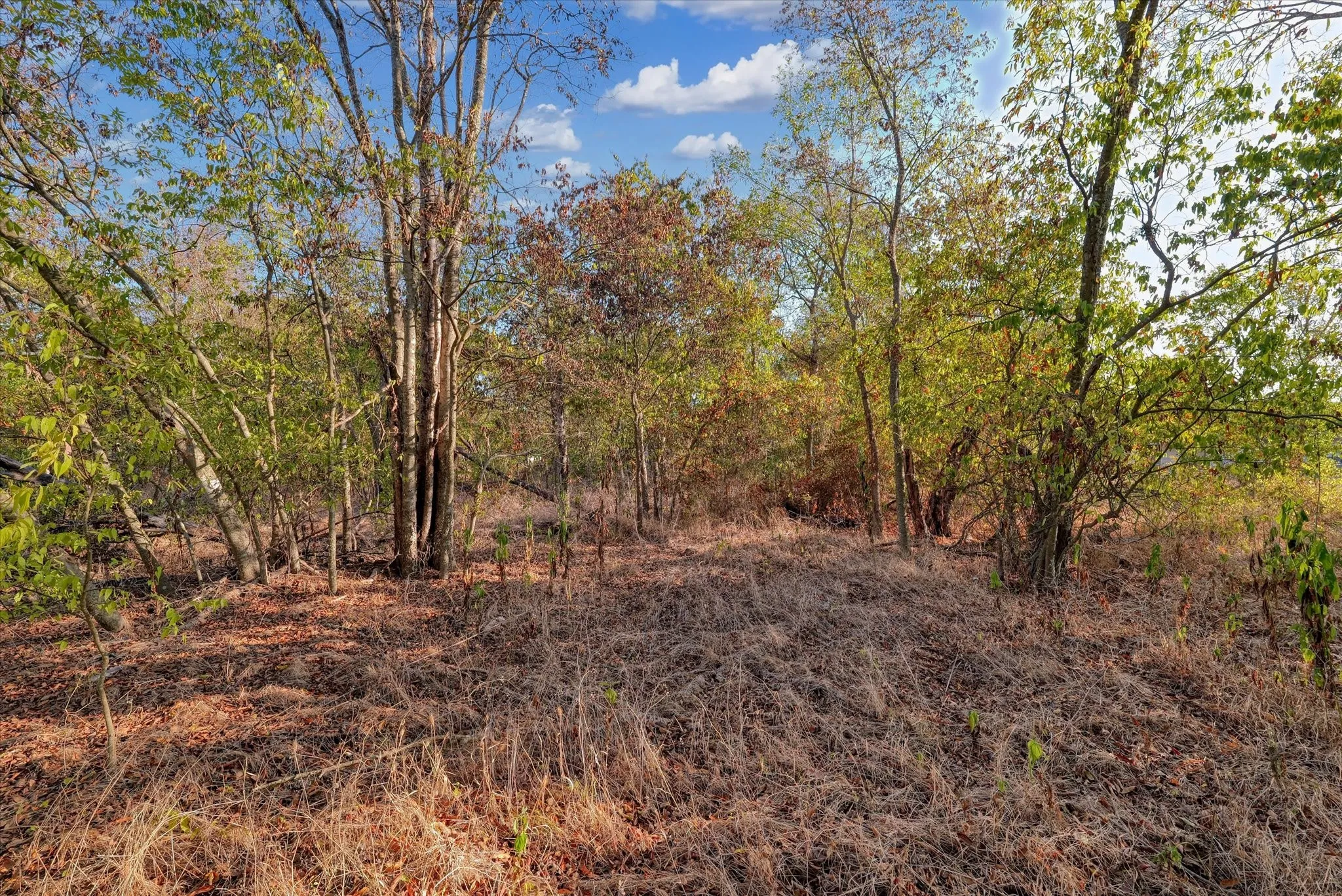 Improved Land For Sale in Mc Lennan County , 303 N Waco Street, Mart, Texas 76664, 0, 0, Garage spaces, 0 Sqft, built in 0, mls#21344818, Real Estate Agent in Mart, Homes For Sale in Mc Lennan county, Homes For Sale in Mart, Realtor in Mart Texas, Real Estate Brokerage Independent Realty Texas, Luminita Cordes Realtor