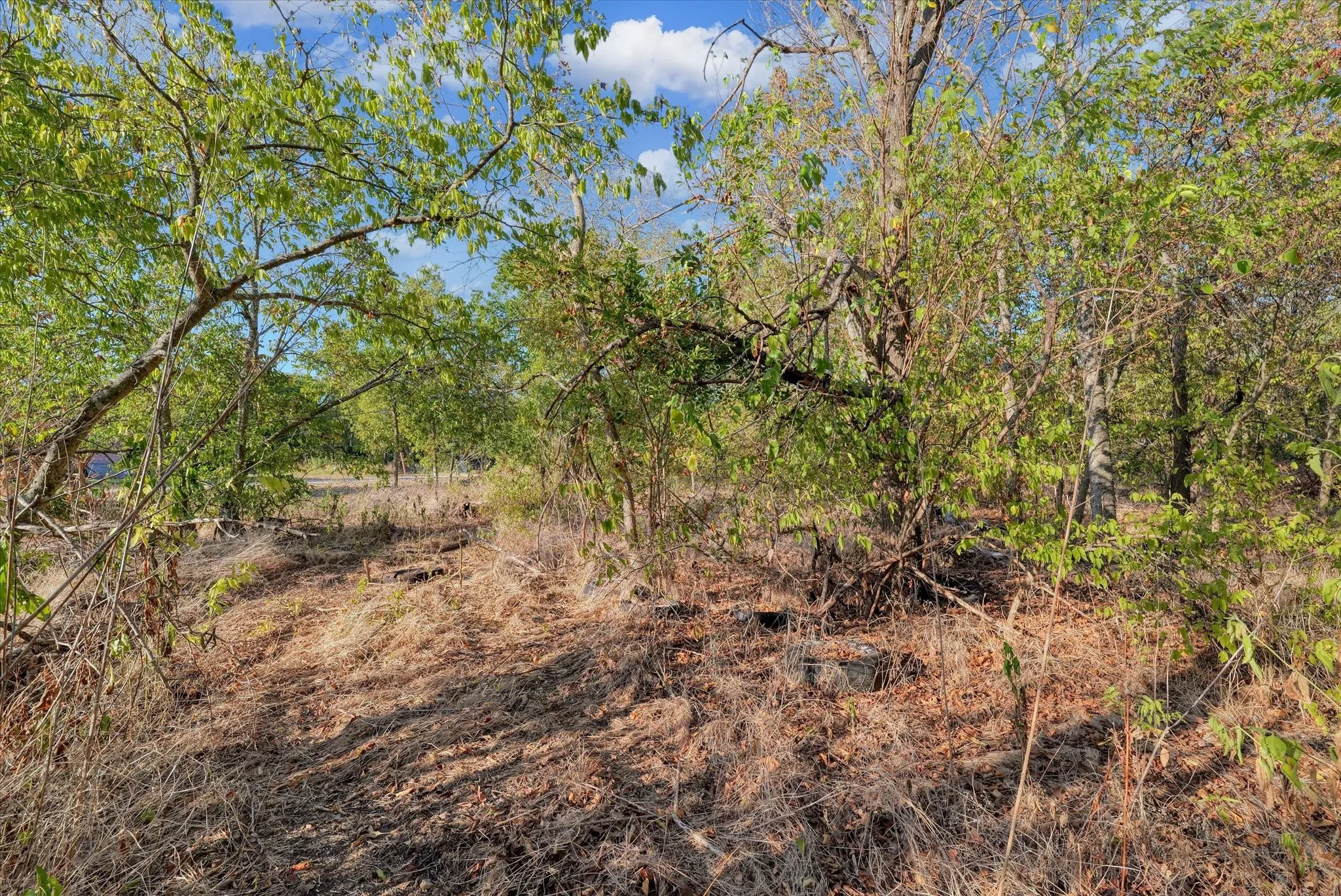 Improved Land For Sale in Mc Lennan County , 303 N Waco Street, Mart, Texas 76664, 0, 0, Garage spaces, 0 Sqft, built in 0, mls#21344818, Real Estate Agent in Mart, Homes For Sale in Mc Lennan county, Homes For Sale in Mart, Realtor in Mart Texas, Real Estate Brokerage Independent Realty Texas, Luminita Cordes Realtor