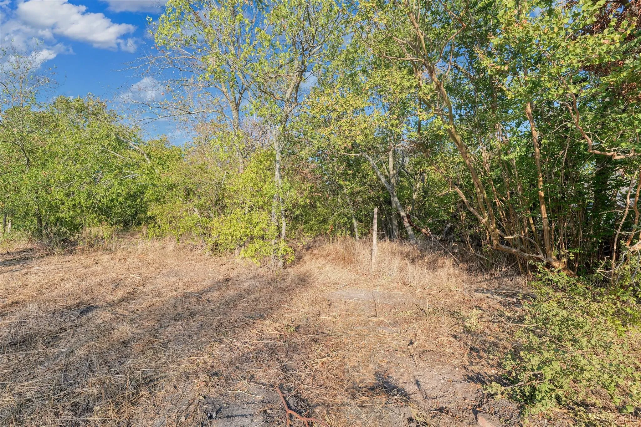 Improved Land For Sale in Mc Lennan County , 303 N Waco Street, Mart, Texas 76664, 0, 0, Garage spaces, 0 Sqft, built in 0, mls#21344818, Real Estate Agent in Mart, Homes For Sale in Mc Lennan county, Homes For Sale in Mart, Realtor in Mart Texas, Real Estate Brokerage Independent Realty Texas, Luminita Cordes Realtor
