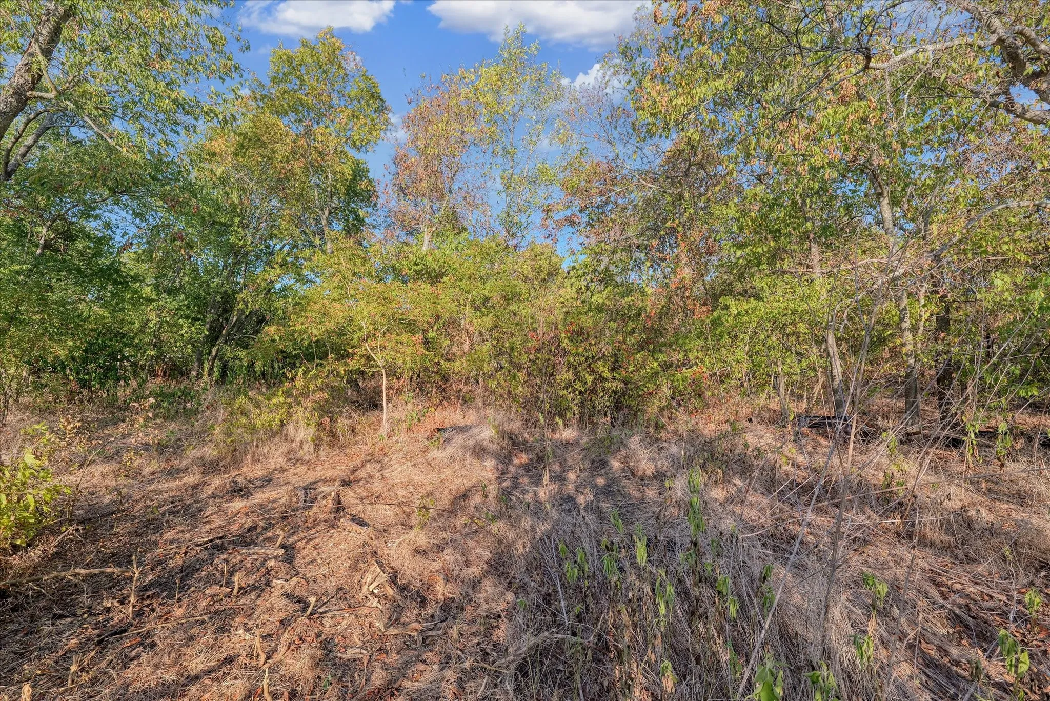 Improved Land For Sale in Mc Lennan County , 303 N Waco Street, Mart, Texas 76664, 0, 0, Garage spaces, 0 Sqft, built in 0, mls#21344818, Real Estate Agent in Mart, Homes For Sale in Mc Lennan county, Homes For Sale in Mart, Realtor in Mart Texas, Real Estate Brokerage Independent Realty Texas, Luminita Cordes Realtor