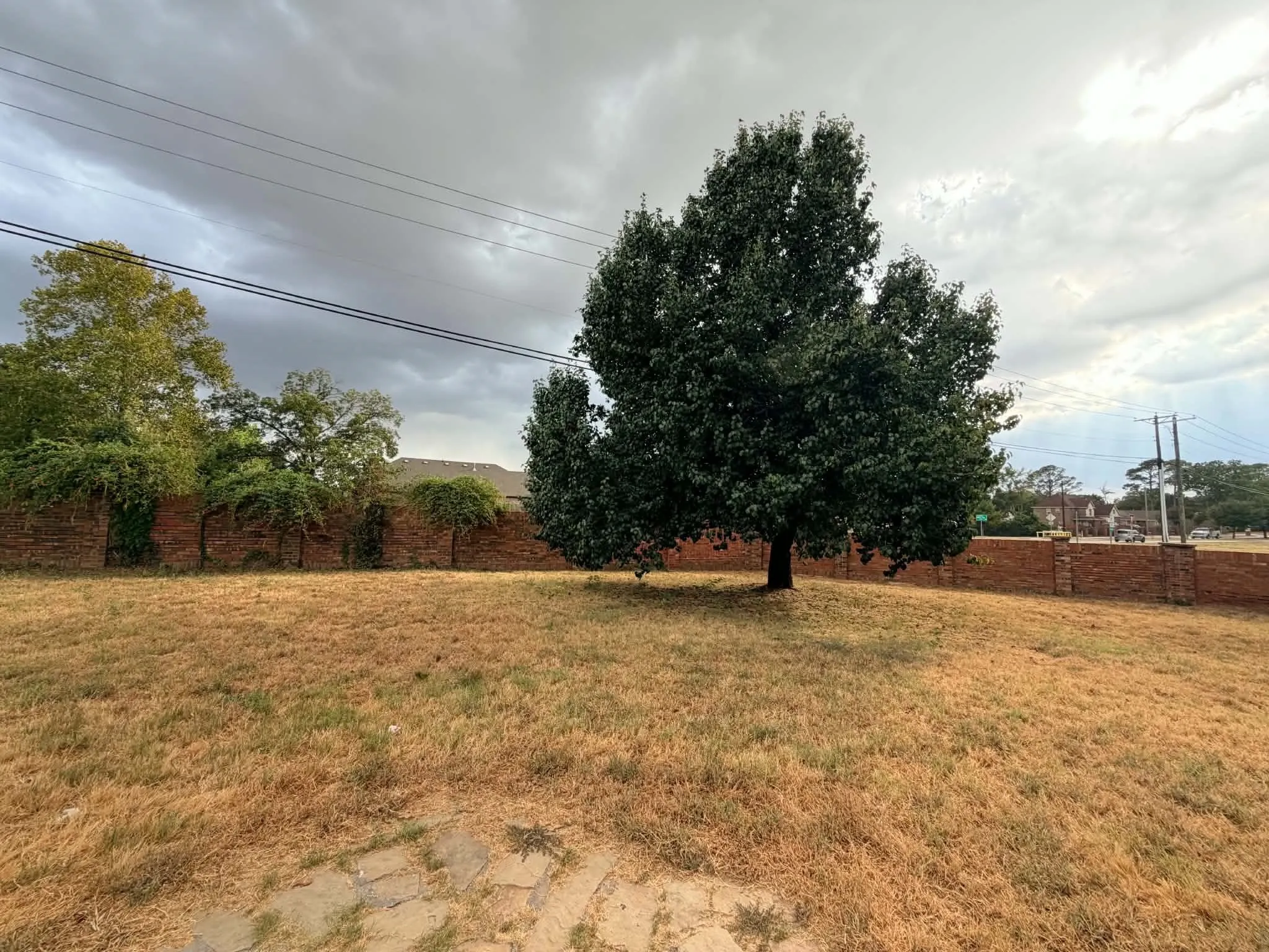 Expansive grassy area featuring a mature tree and a brick wall perimeter