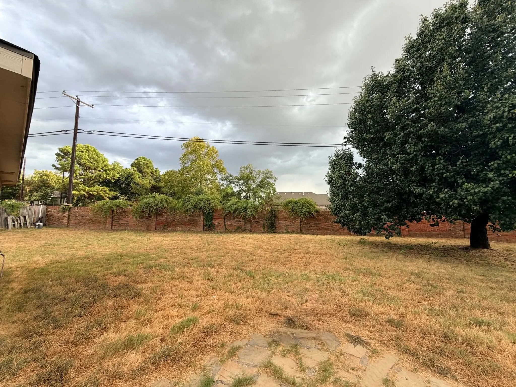 Spacious backyard featuring a substantial mature tree and a brick perimeter wall