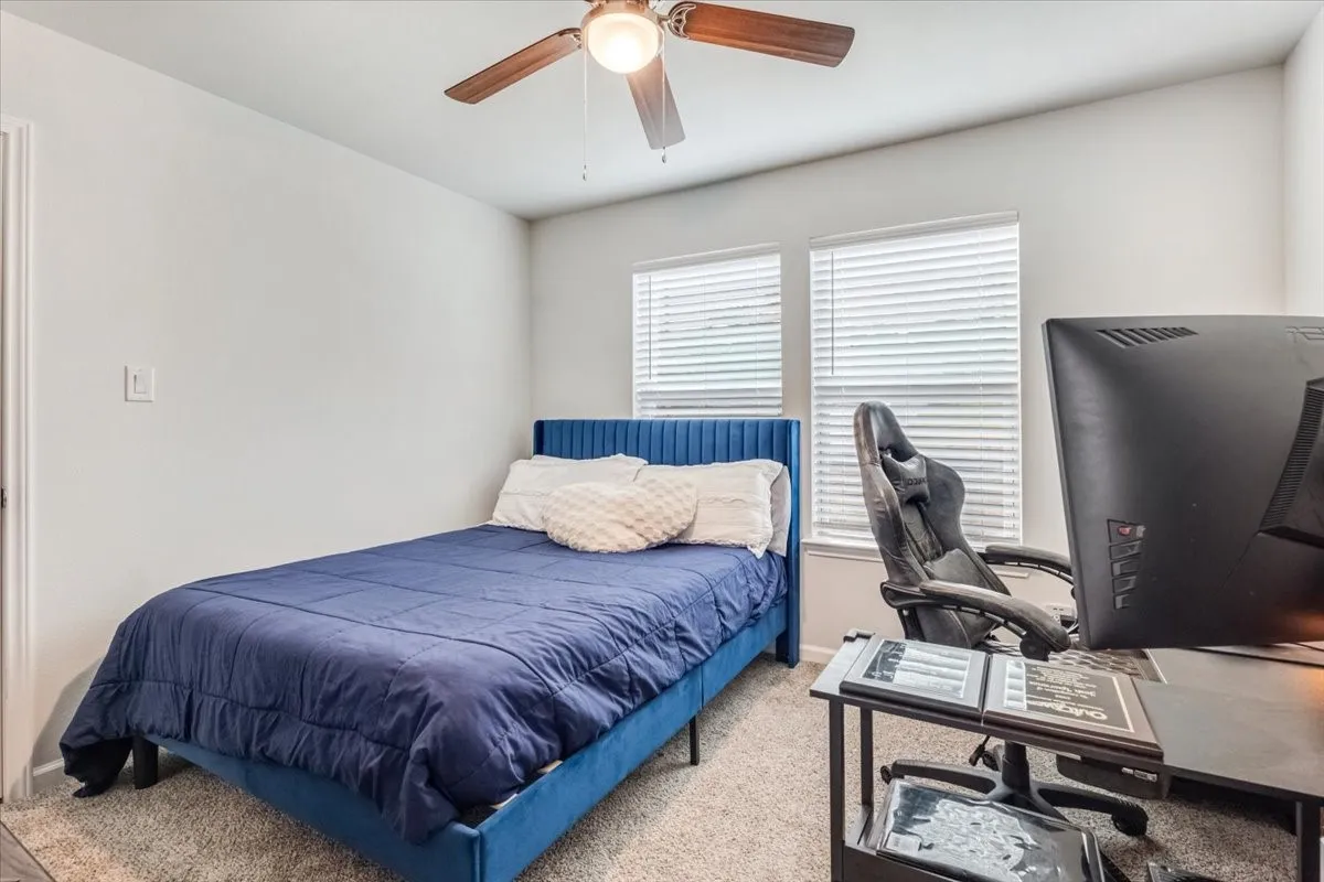 Carpeted room featuring a ceiling fan, two windows with blinds, and white wall finishes