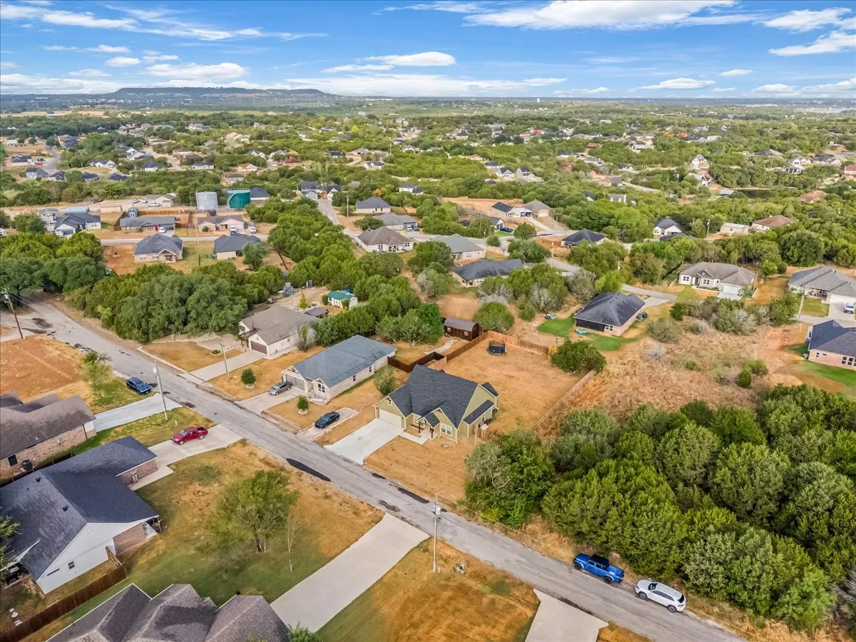 Aerial perspective of a residential neighborhood with varied architectural styles and mature trees