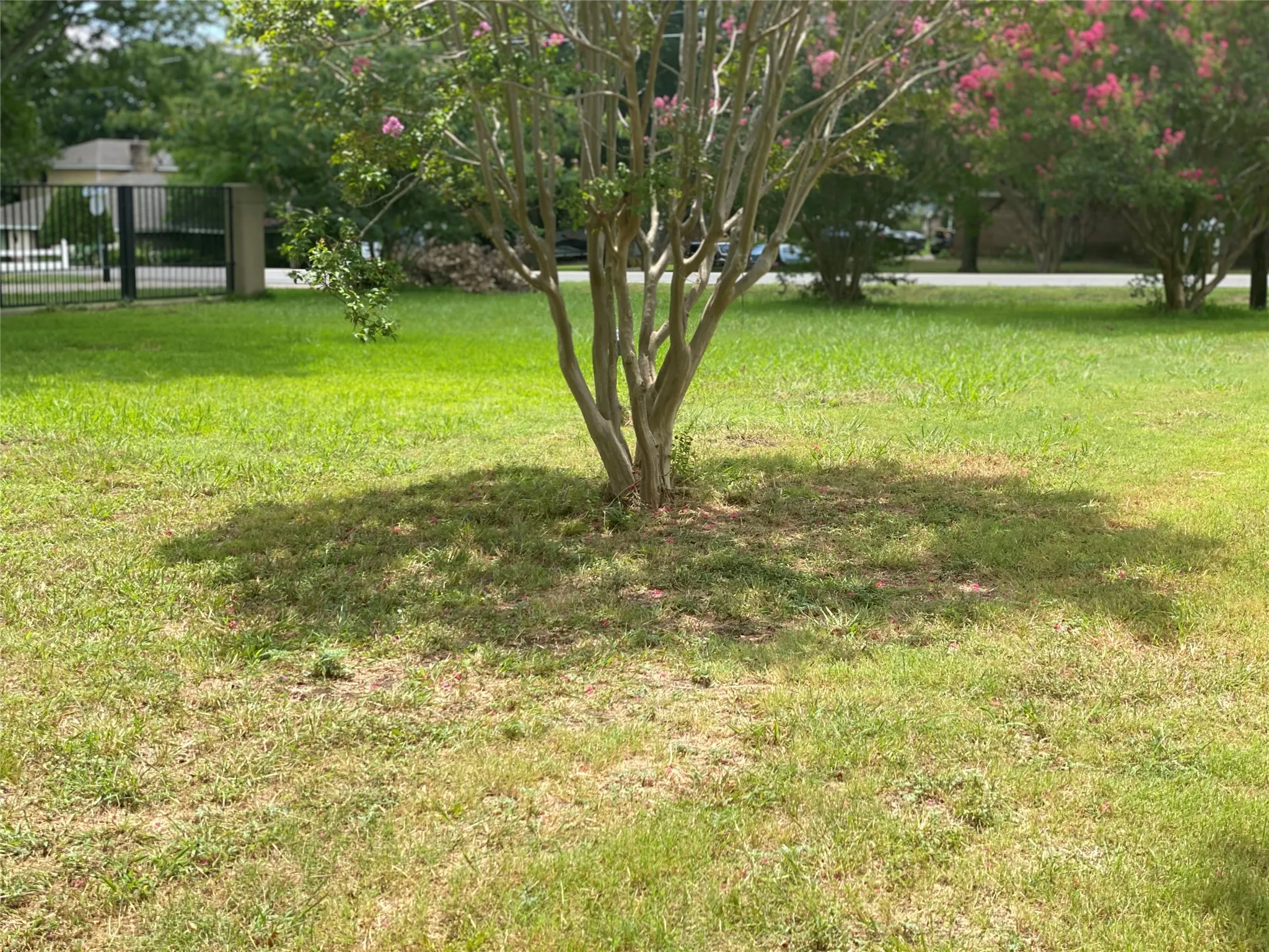 Unimproved Land For Sale in Dallas County , 111 Barnes Bridge, Sunnyvale, Texas 75182, 0, 0, Garage spaces, 0 Sqft, built in 0, mls#21385185, Real Estate Agent in Sunnyvale, Homes For Sale in Dallas county, Homes For Sale in Sunnyvale, Realtor in Sunnyvale Texas, Real Estate Brokerage Independent Realty Texas, Luminita Cordes Realtor