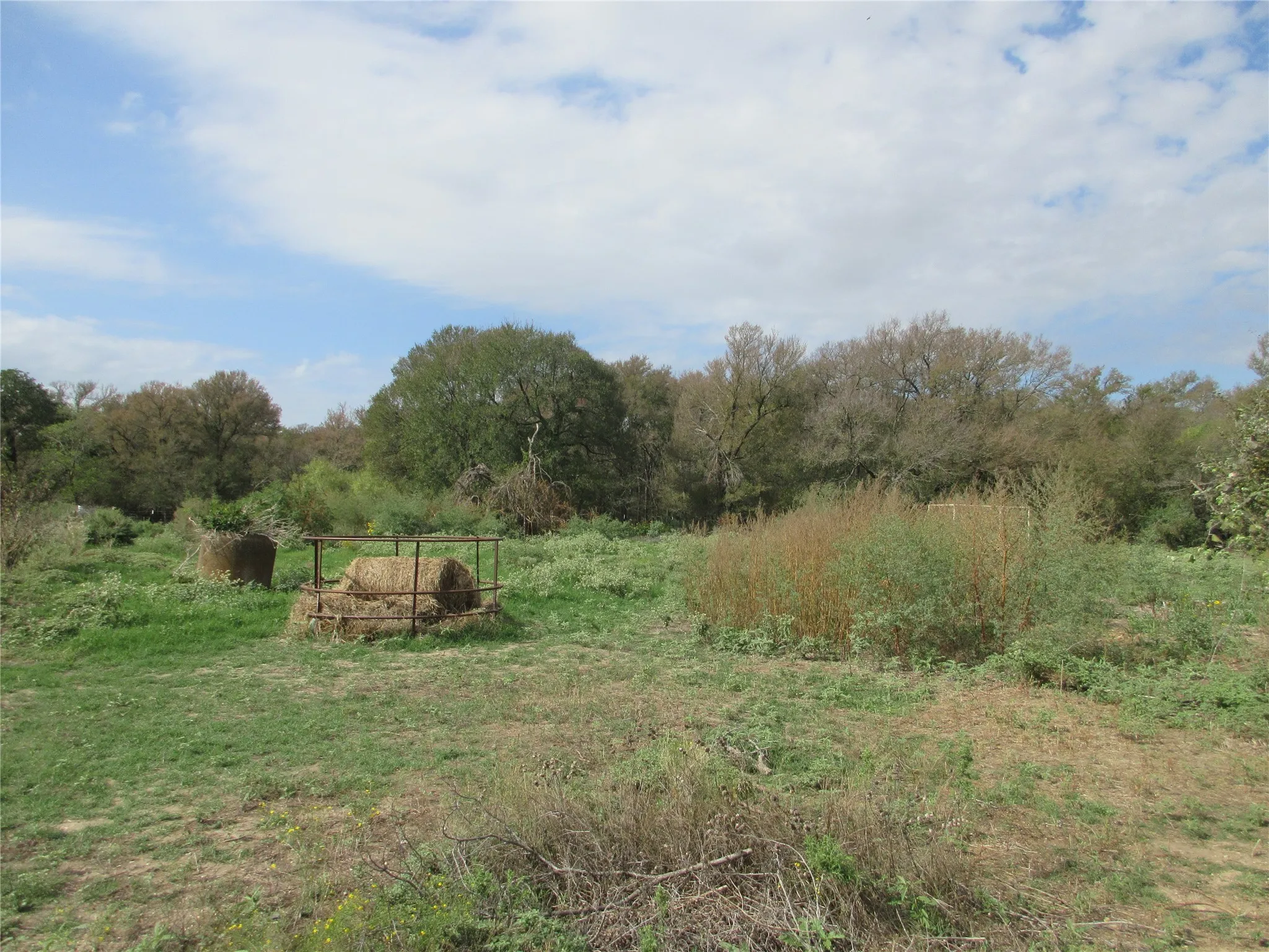 Unimproved Land For Sale in Falls County , Business Shy 6 S S Business Hwy 6 Highway S 1, Marlin, Texas 76661, 0, 0, Garage spaces, 0 Sqft, built in 0, mls#21385174, Real Estate Agent in Marlin, Homes For Sale in Falls county, Homes For Sale in Marlin, Realtor in Marlin Texas, Real Estate Brokerage Independent Realty Texas, Luminita Cordes Realtor