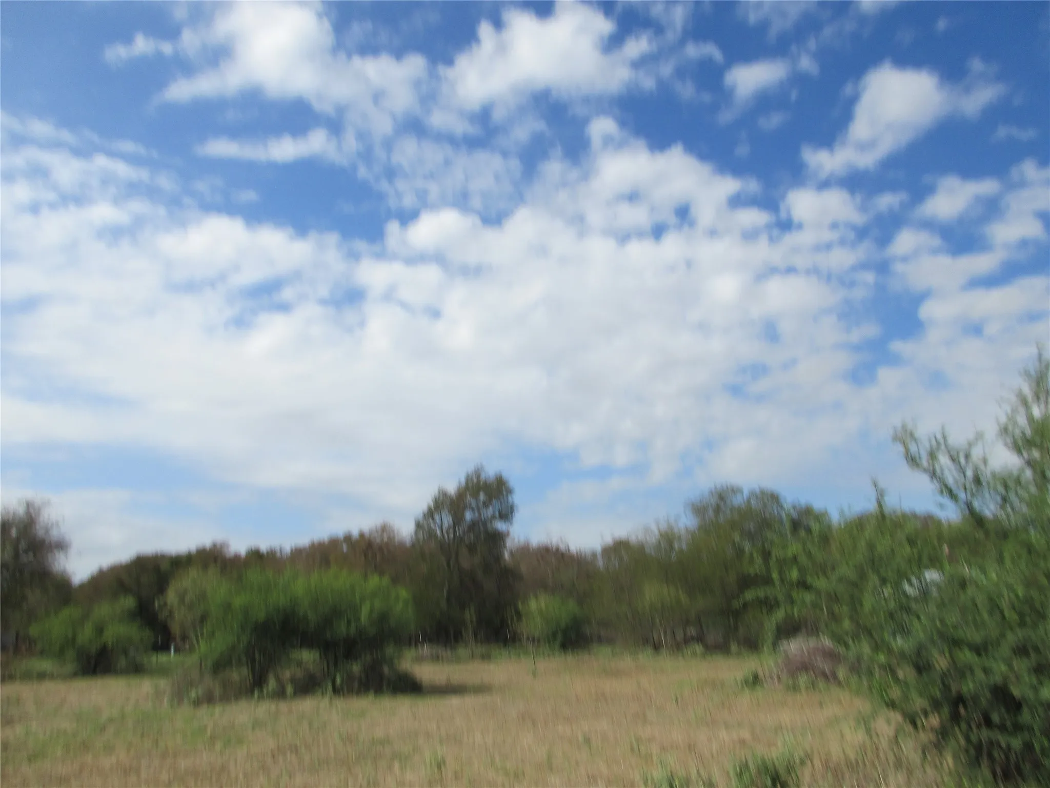 Unimproved Land For Sale in Falls County , Business Shy 6 S S Business Hwy 6 Highway S 1, Marlin, Texas 76661, 0, 0, Garage spaces, 0 Sqft, built in 0, mls#21385174, Real Estate Agent in Marlin, Homes For Sale in Falls county, Homes For Sale in Marlin, Realtor in Marlin Texas, Real Estate Brokerage Independent Realty Texas, Luminita Cordes Realtor