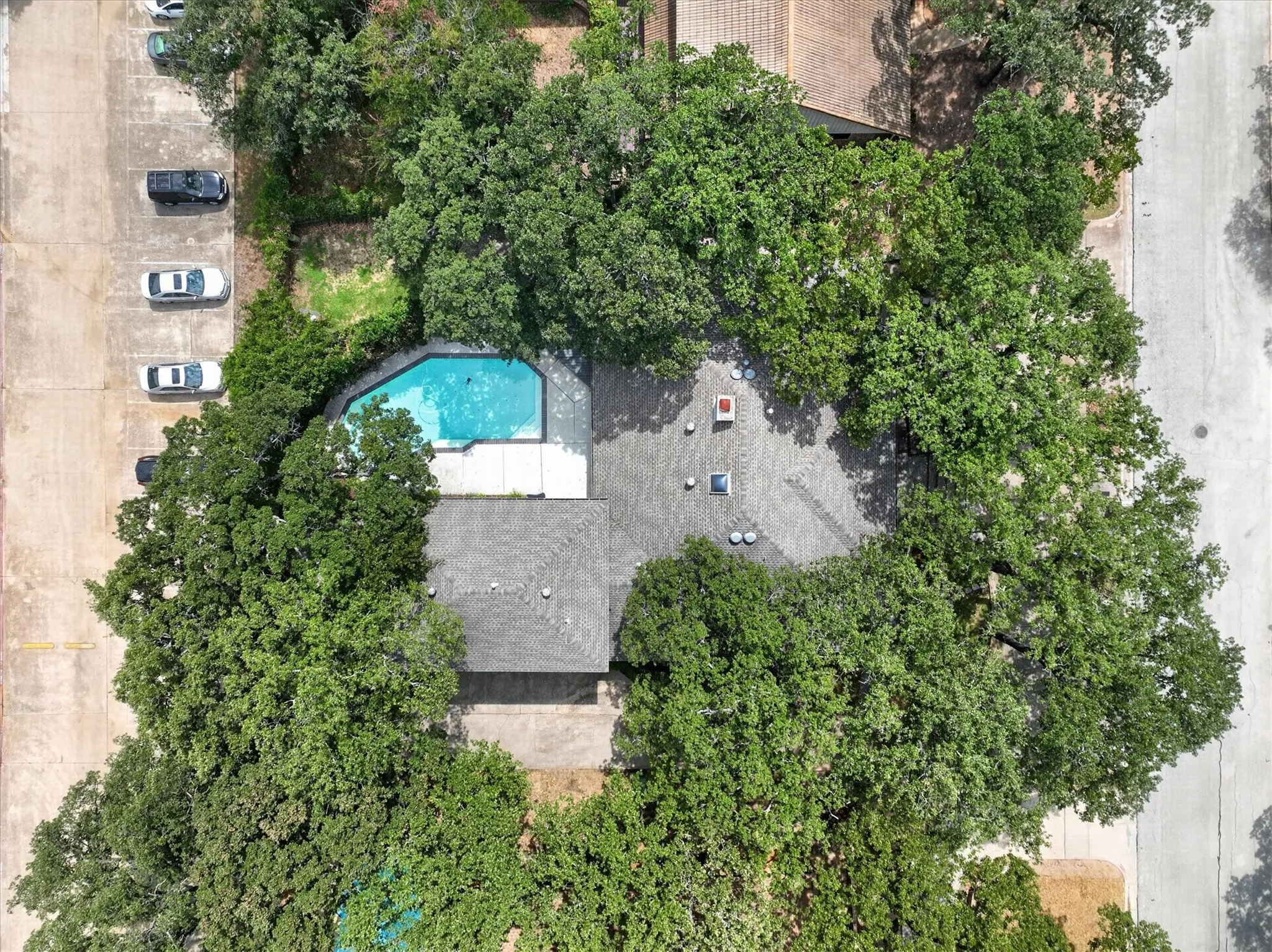 Plenty of tree cover for our hot Texas summers