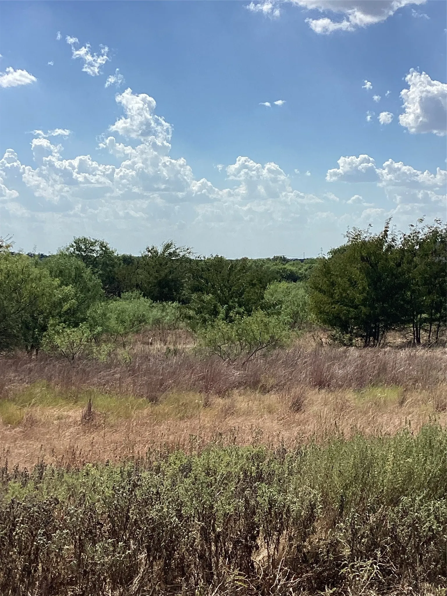 Unimproved Land For Sale in Parker County , 808 San Jacinto drive, Aledo, Texas 76008, 0, 0, Garage spaces, 0 Sqft, built in 0, mls#21385196, Real Estate Agent in Aledo, Homes For Sale in Parker county, Homes For Sale in Aledo, Realtor in Aledo Texas, Real Estate Brokerage Independent Realty Texas, Luminita Cordes Realtor
