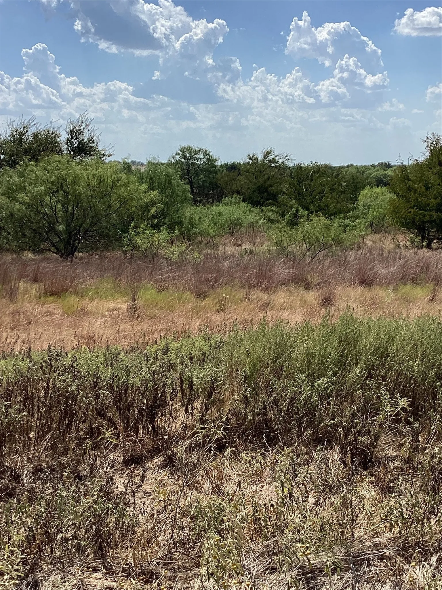 Unimproved Land For Sale in Parker County , 808 San Jacinto drive, Aledo, Texas 76008, 0, 0, Garage spaces, 0 Sqft, built in 0, mls#21385196, Real Estate Agent in Aledo, Homes For Sale in Parker county, Homes For Sale in Aledo, Realtor in Aledo Texas, Real Estate Brokerage Independent Realty Texas, Luminita Cordes Realtor