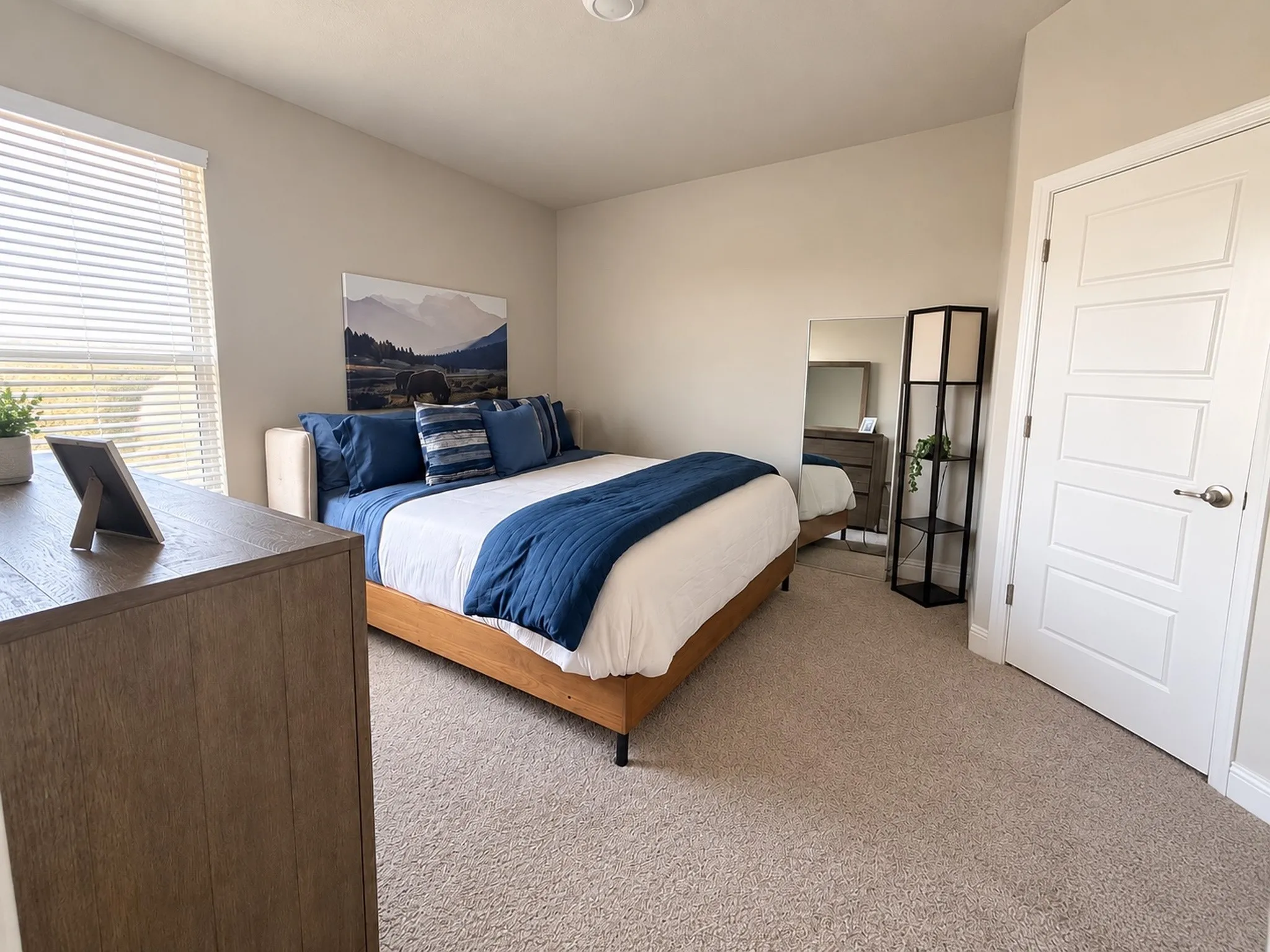 Plush carpeting throughout, neutral wall paint, and a white paneled door