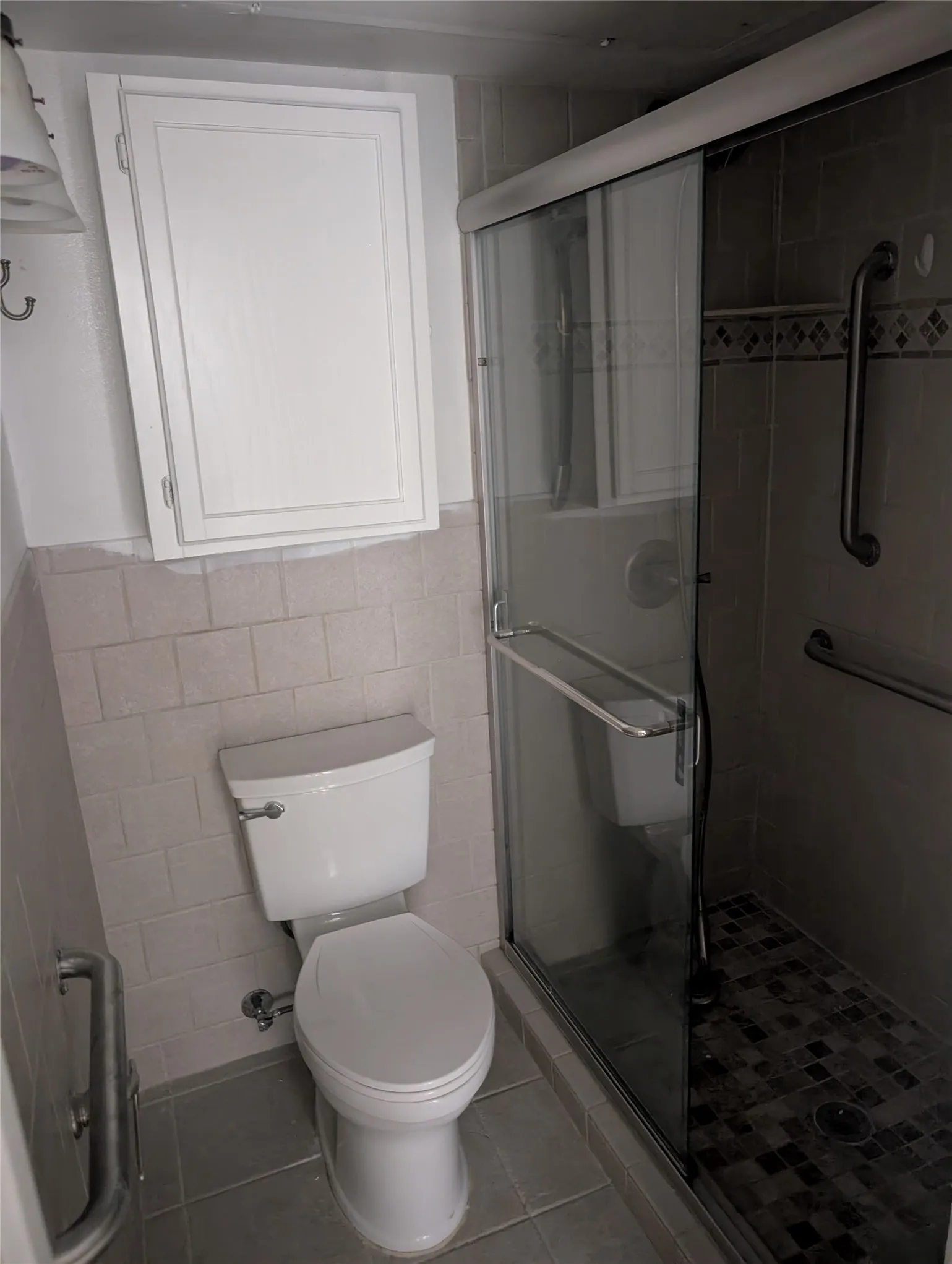 Glass-enclosed shower with a mosaic tile floor, white toilet, and light-toned wall tiling