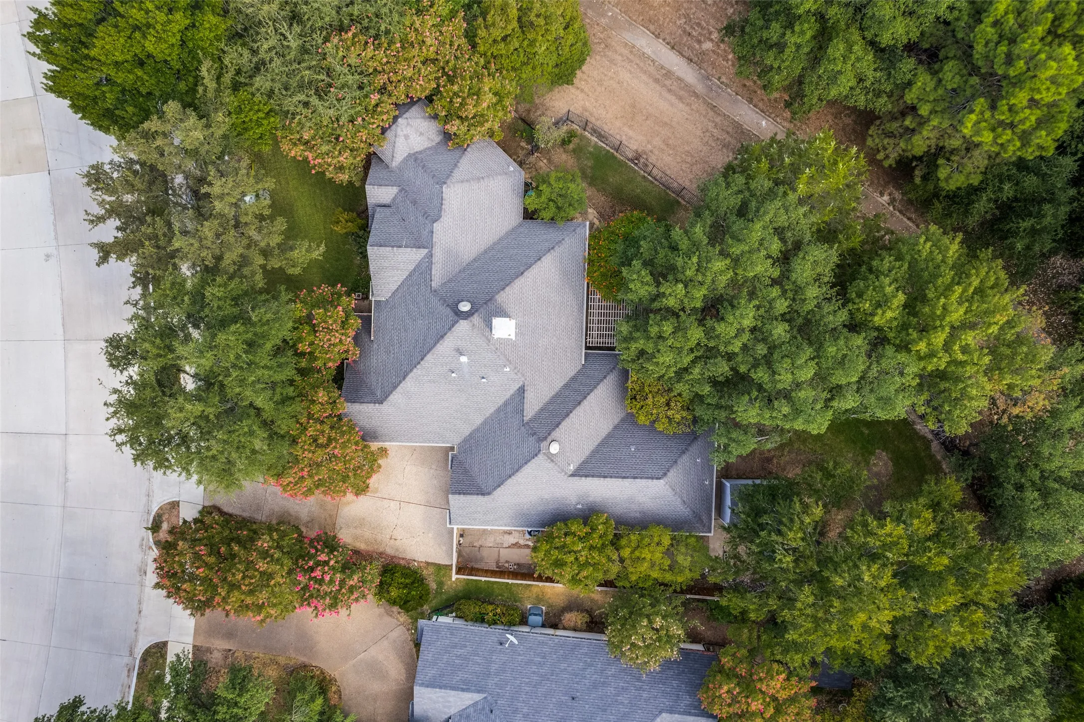 Multi-pitched roof design, mature trees, concrete driveway, and surrounding foliage