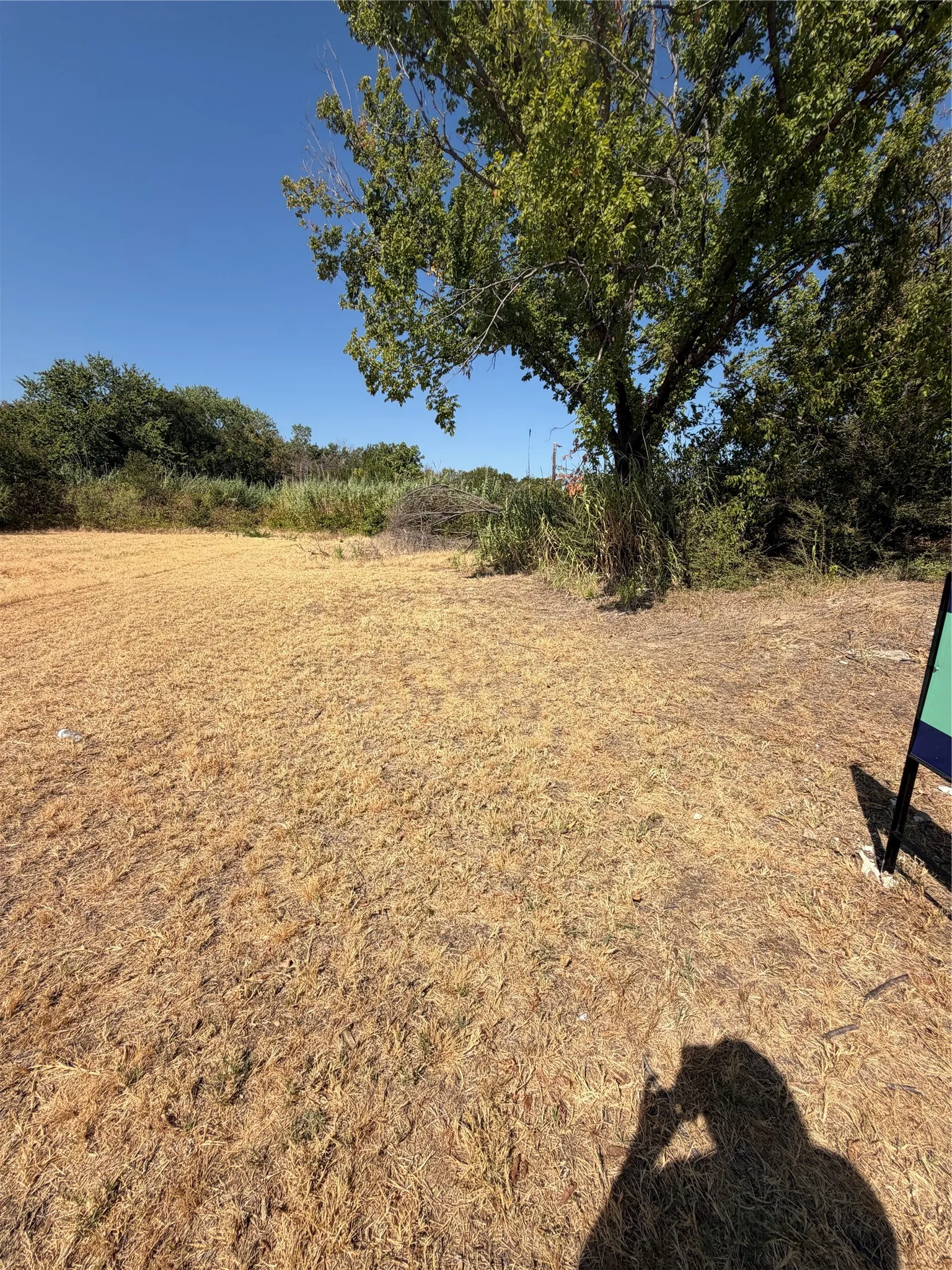 Expansive undeveloped parcel featuring established trees and natural foliage
