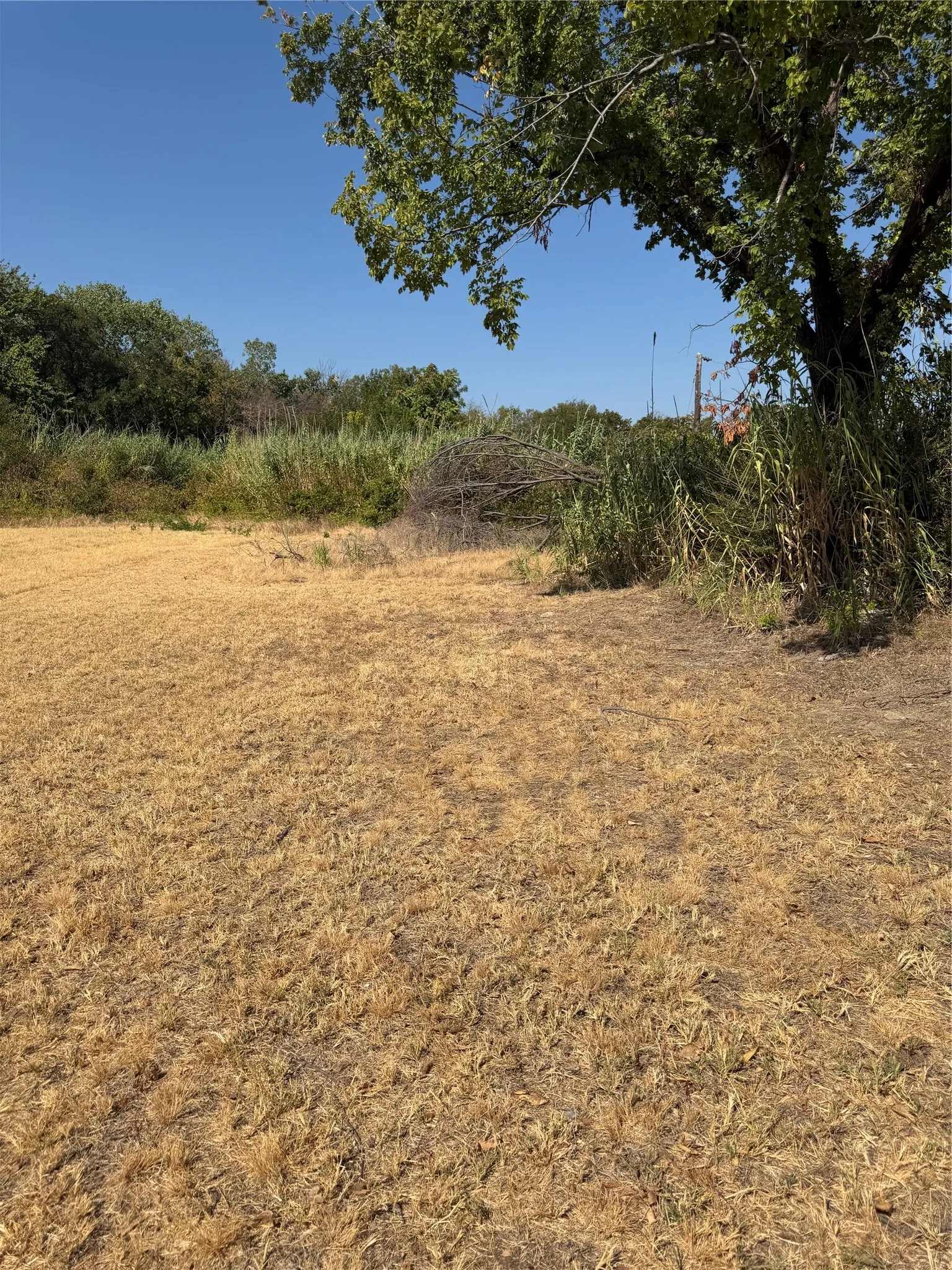 Improved Land For Sale in Tarrant County , 2328 Mitchell Boulevard, Fort Worth, Texas 76105, 0, 0, Garage spaces, 0 Sqft, built in 0, mls#21385219, Real Estate Agent in Fort Worth, Homes For Sale in Tarrant county, Homes For Sale in Fort Worth, Realtor in Fort Worth Texas, Real Estate Brokerage Independent Realty Texas, Luminita Cordes Realtor