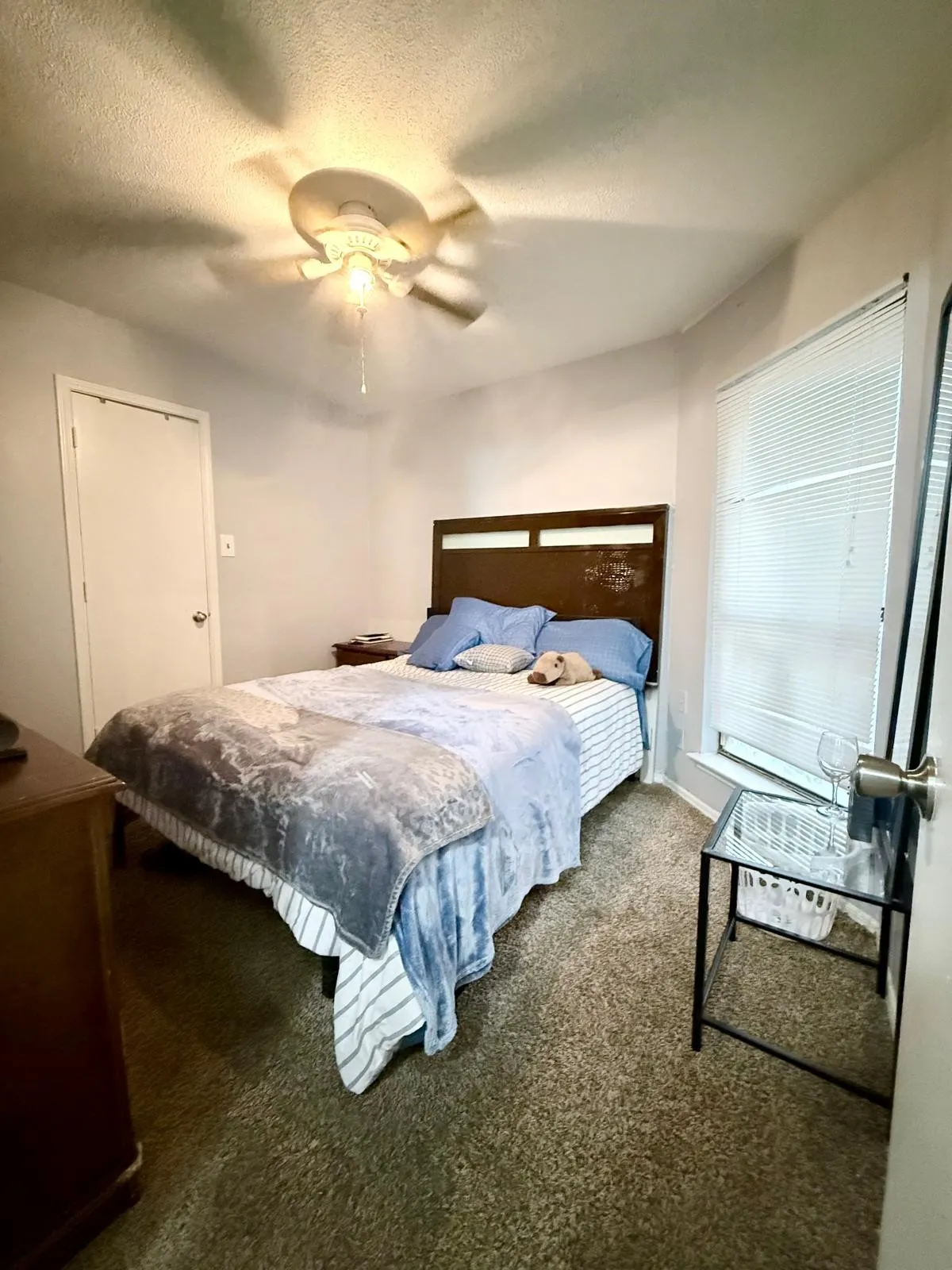 Carpeted flooring, ceiling fan with integrated lighting, and a window with blinds