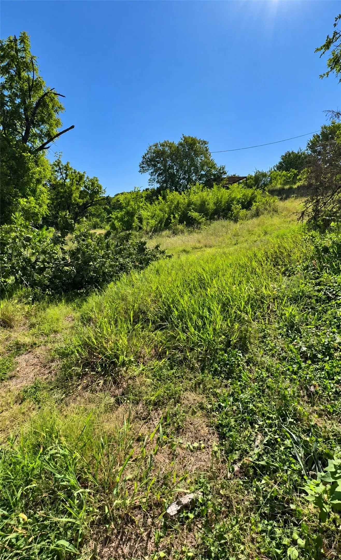 Unimproved Land For Sale in Parker County , 213 E Yucca, Weatherford, Texas 76085, 0, 0, Garage spaces, 0 Sqft, built in 0, mls#21385230, Real Estate Agent in Weatherford, Homes For Sale in Parker county, Homes For Sale in Weatherford, Realtor in Weatherford Texas, Real Estate Brokerage Independent Realty Texas, Luminita Cordes Realtor