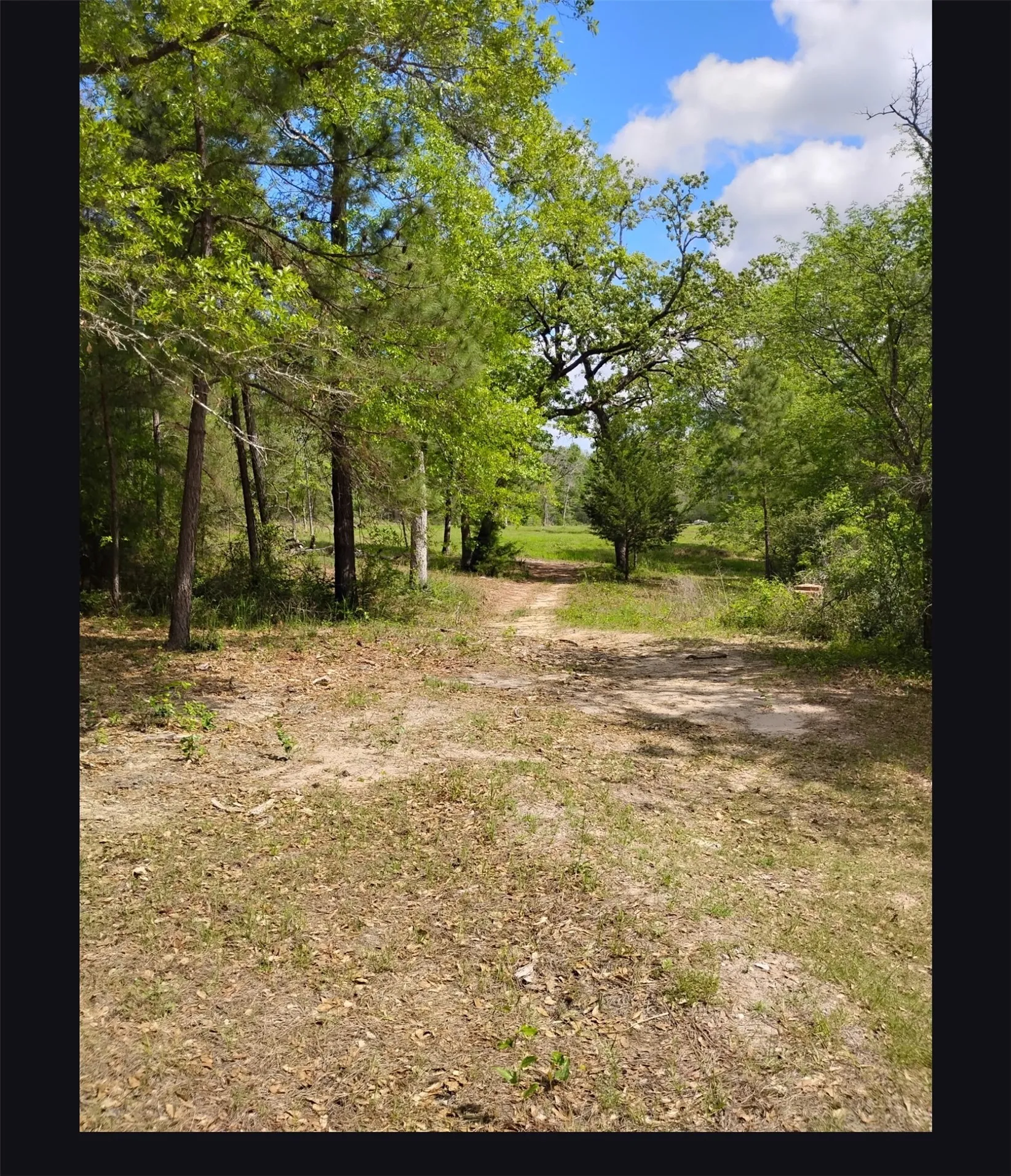 Unimproved Land For Sale in Walker County , TBD State Hwy 19, Huntsville, Texas 77320, 0, 0, Garage spaces, 0 Sqft, built in 0, mls#21332515, Real Estate Agent in Huntsville, Homes For Sale in Walker county, Homes For Sale in Huntsville, Realtor in Huntsville Texas, Real Estate Brokerage Independent Realty Texas, Luminita Cordes Realtor