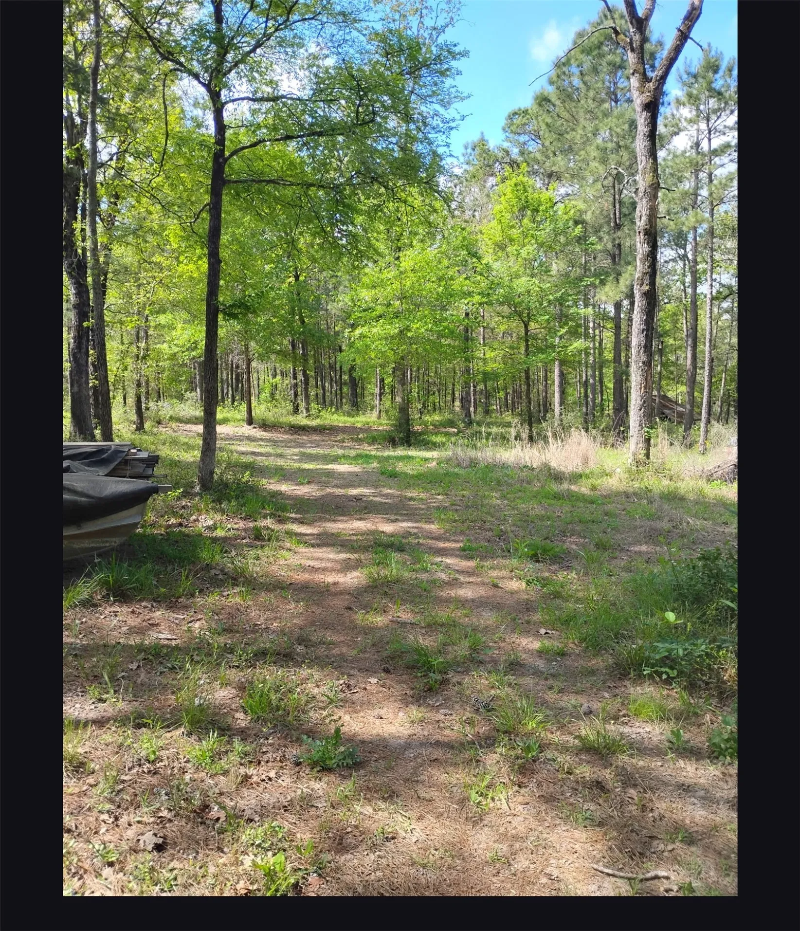 Unimproved Land For Sale in Walker County , TBD State Hwy 19, Huntsville, Texas 77320, 0, 0, Garage spaces, 0 Sqft, built in 0, mls#21332515, Real Estate Agent in Huntsville, Homes For Sale in Walker county, Homes For Sale in Huntsville, Realtor in Huntsville Texas, Real Estate Brokerage Independent Realty Texas, Luminita Cordes Realtor