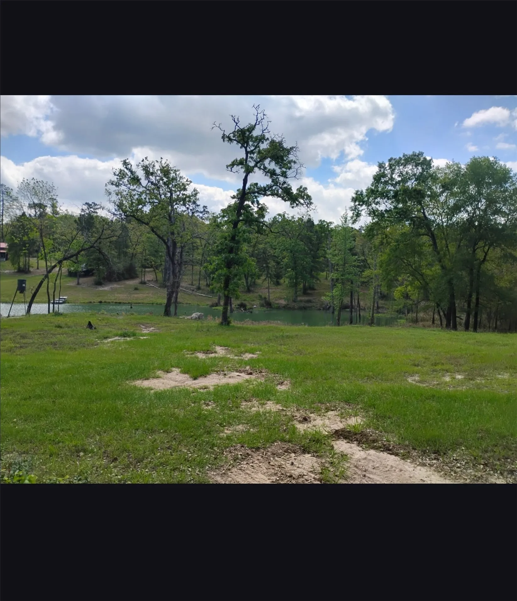 Unimproved Land For Sale in Walker County , TBD State Hwy 19, Huntsville, Texas 77320, 0, 0, Garage spaces, 0 Sqft, built in 0, mls#21332515, Real Estate Agent in Huntsville, Homes For Sale in Walker county, Homes For Sale in Huntsville, Realtor in Huntsville Texas, Real Estate Brokerage Independent Realty Texas, Luminita Cordes Realtor