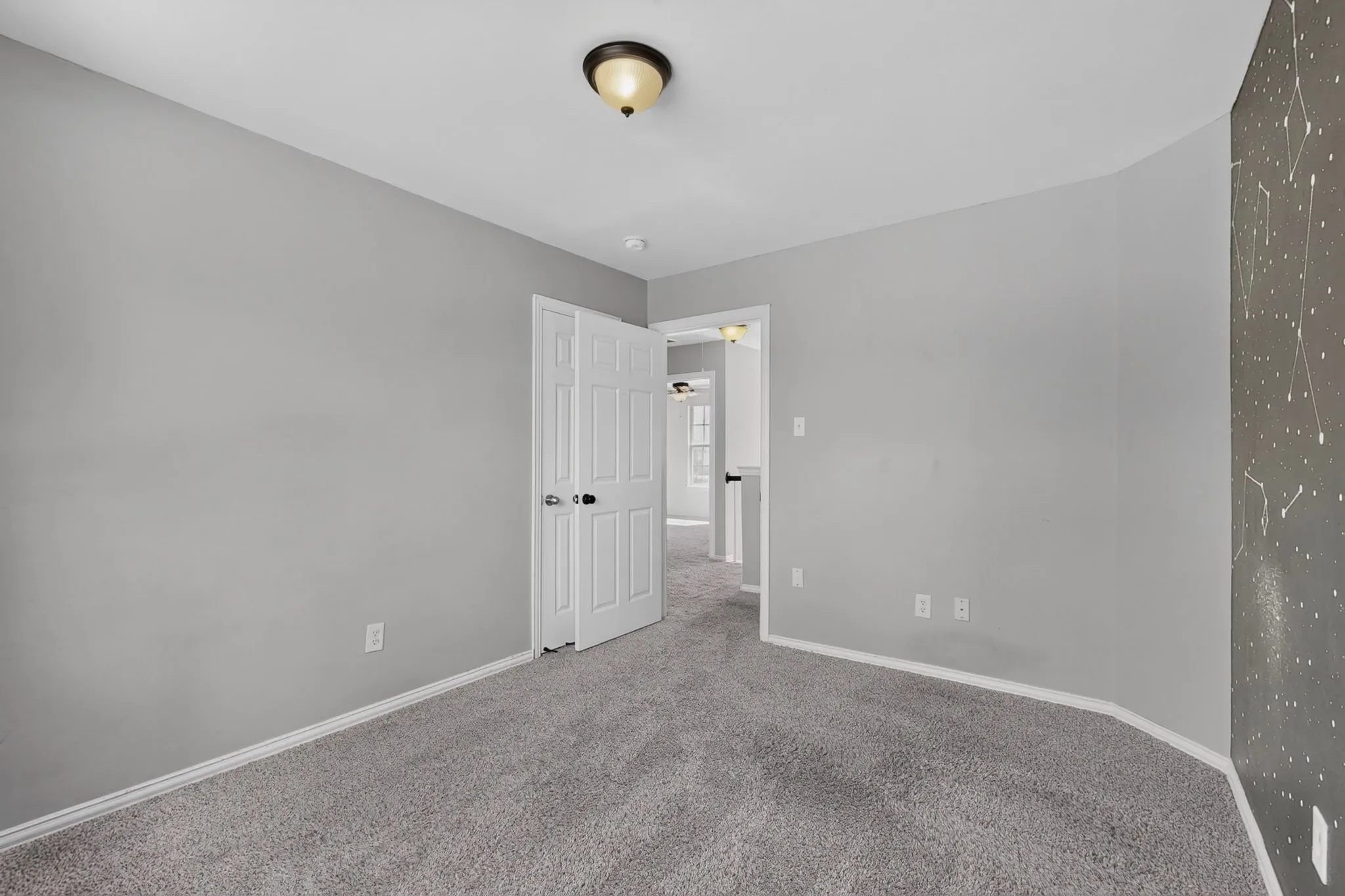 Gray wall paint, textured gray carpet, white trim, white panel doors, and a ceiling-mounted light fixture