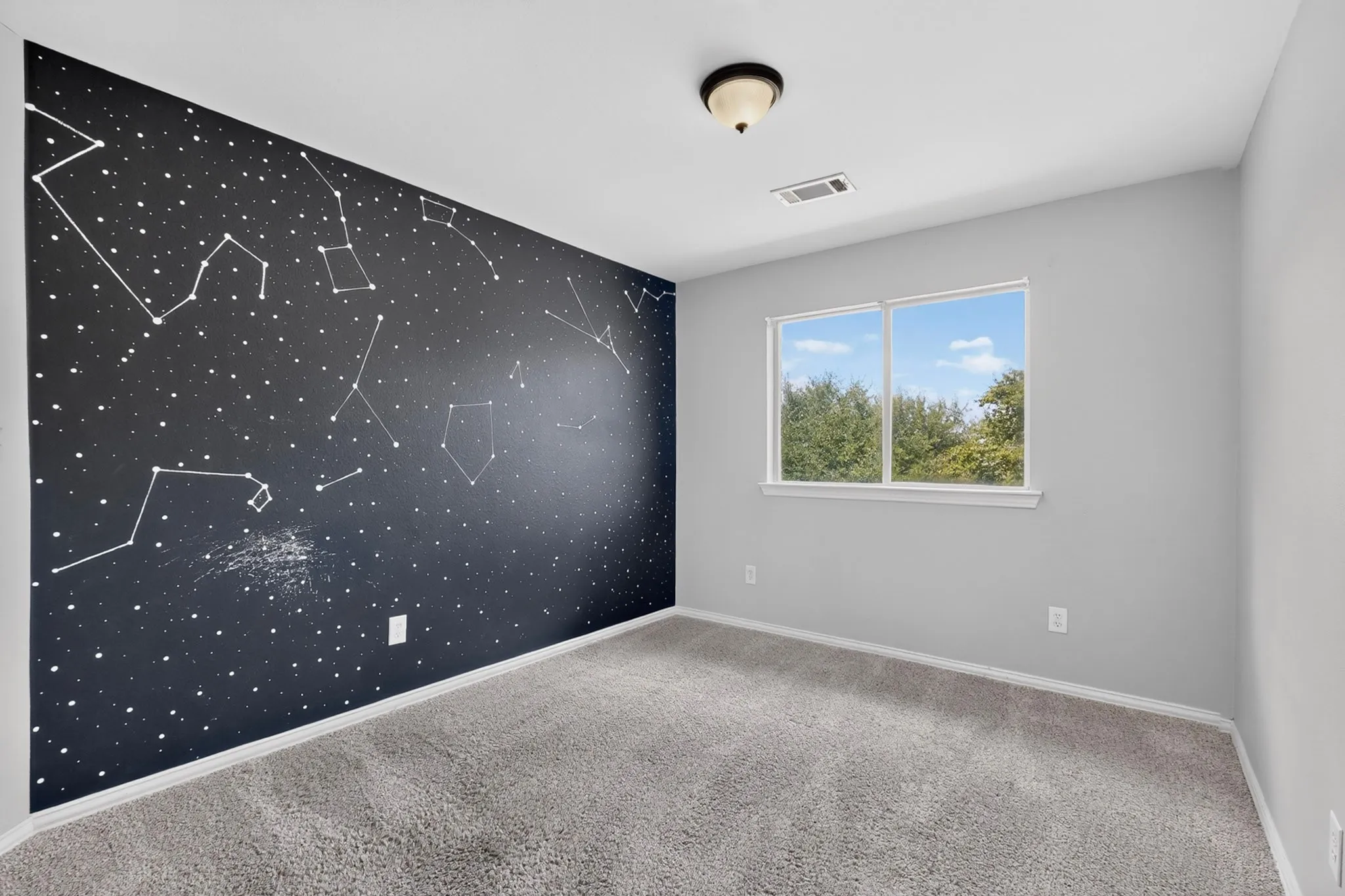 Wall-to-wall carpeting, dual-pane window, and a ceiling-mounted light fixture