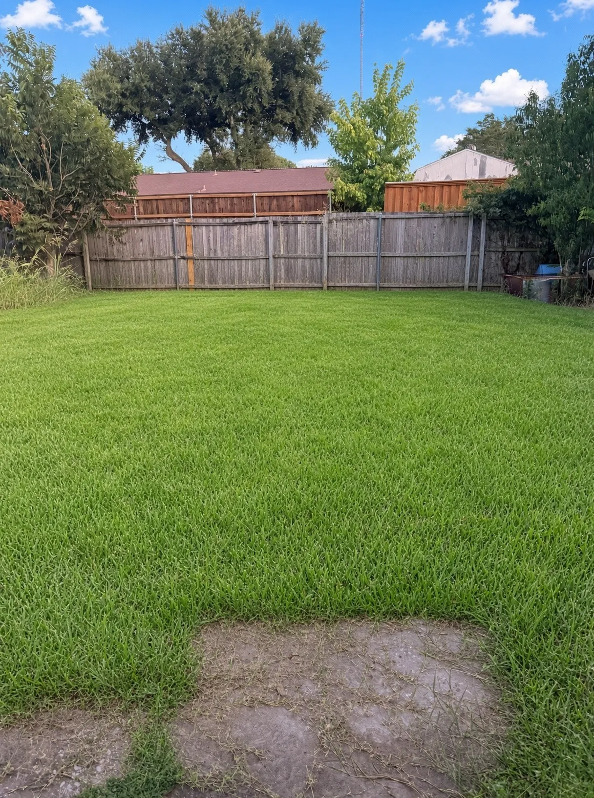 large back yard with shed