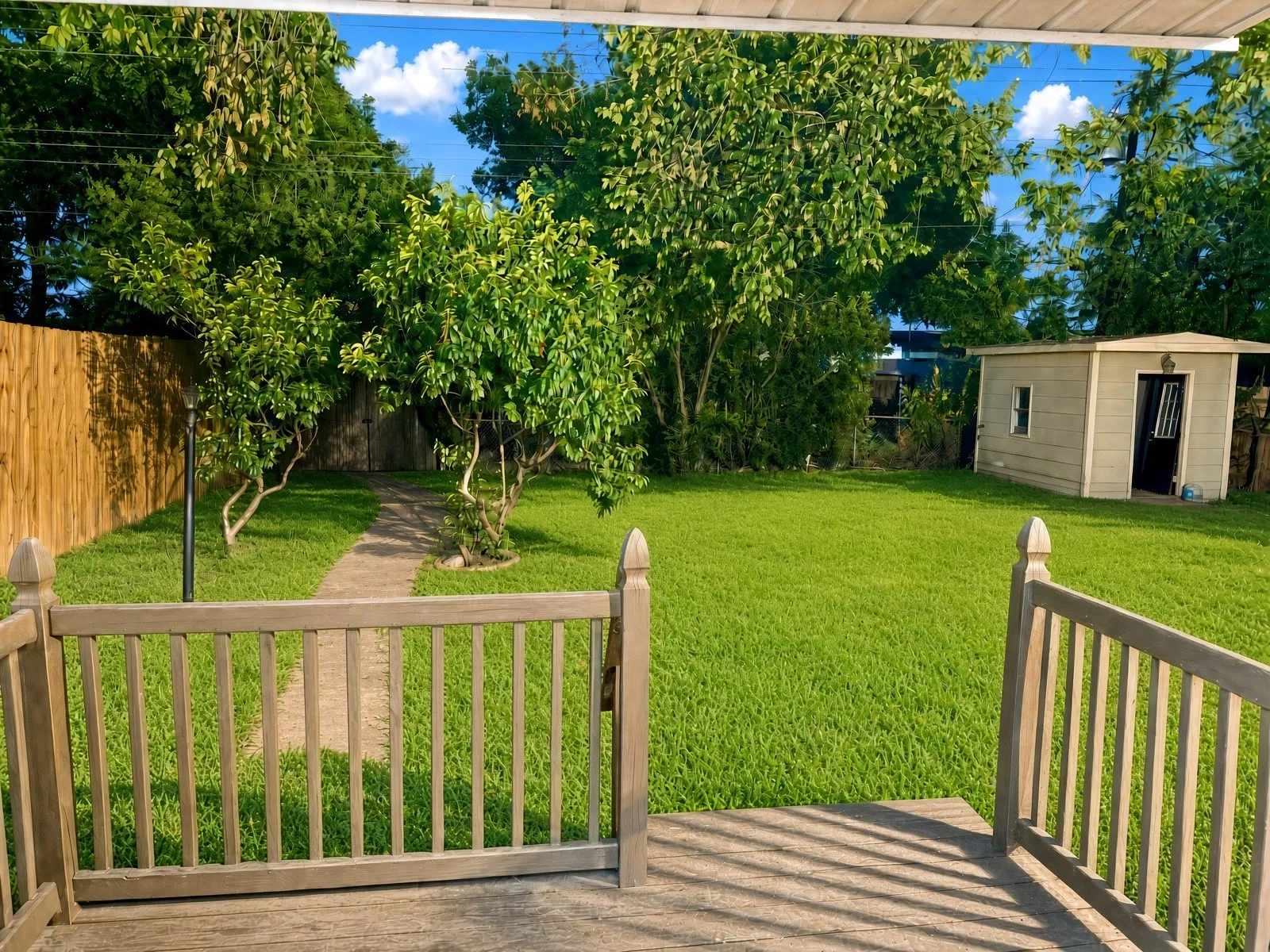 AI daylight photo of backyard