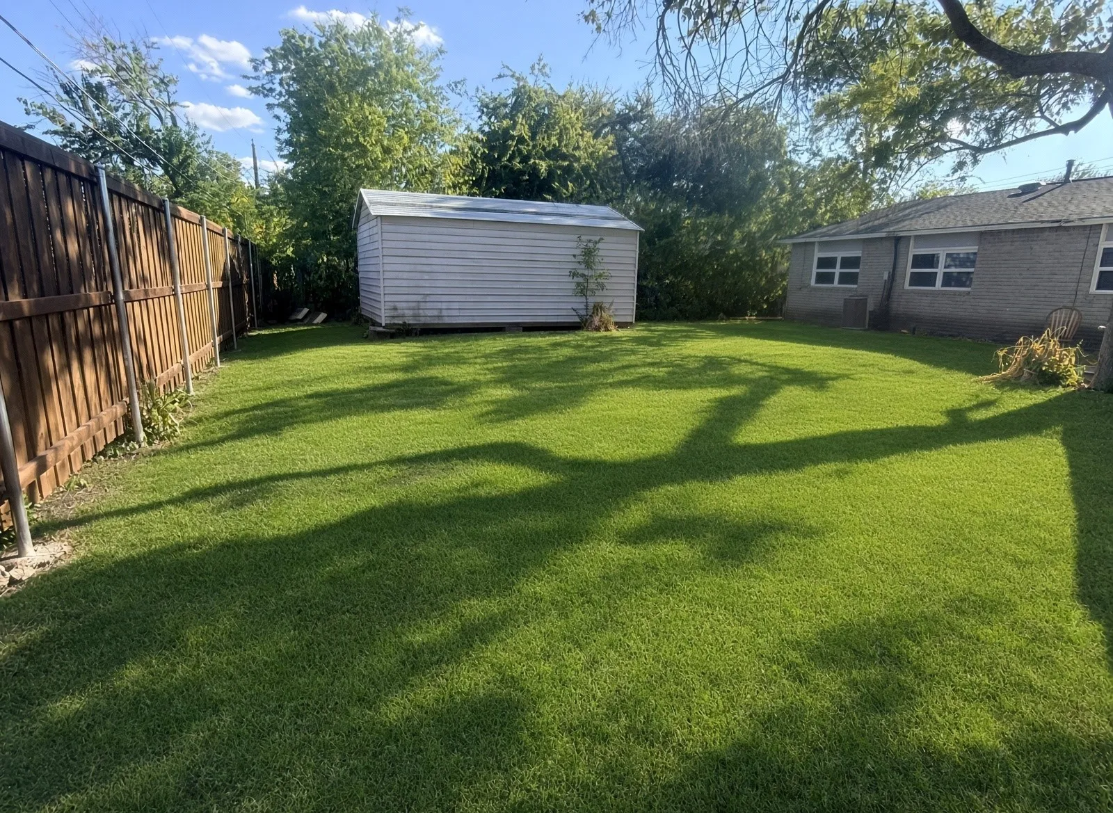 Back yard has a large shed, new fence, backs to creek