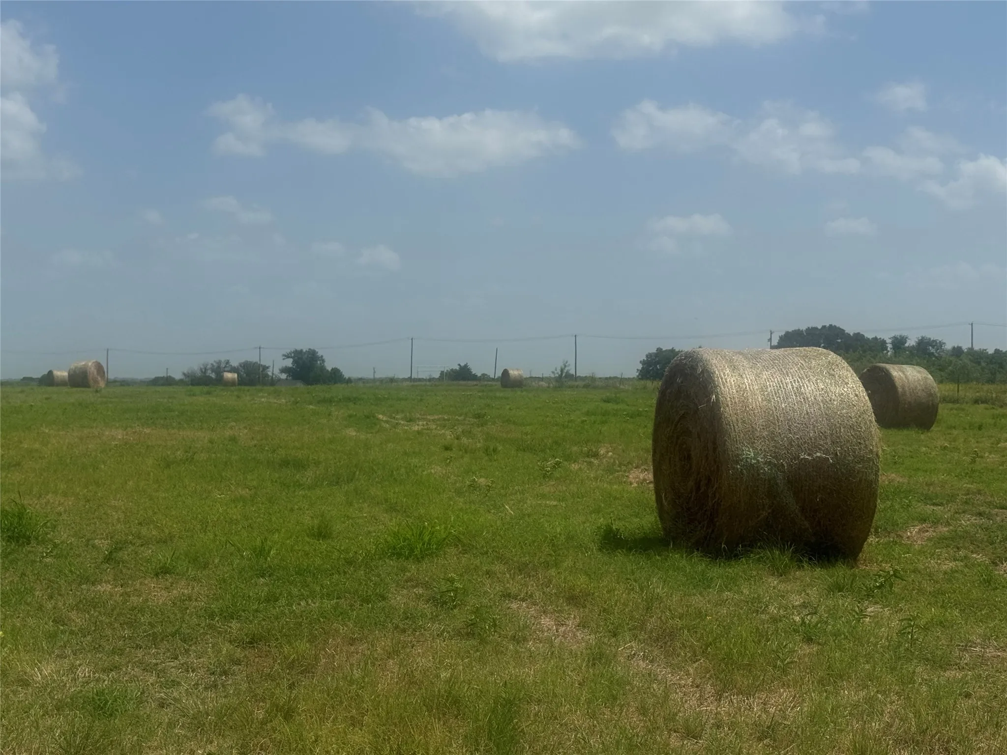 Improved Land For Sale in Navarro County , TBD lot 6 NW County RD 0070 Road, Corsicana, Texas 75110, 0, 0, Garage spaces, 0 Sqft, built in 0, mls#21378607, Real Estate Agent in Corsicana, Homes For Sale in Navarro county, Homes For Sale in Corsicana, Realtor in Corsicana Texas, Real Estate Brokerage Independent Realty Texas, Luminita Cordes Realtor