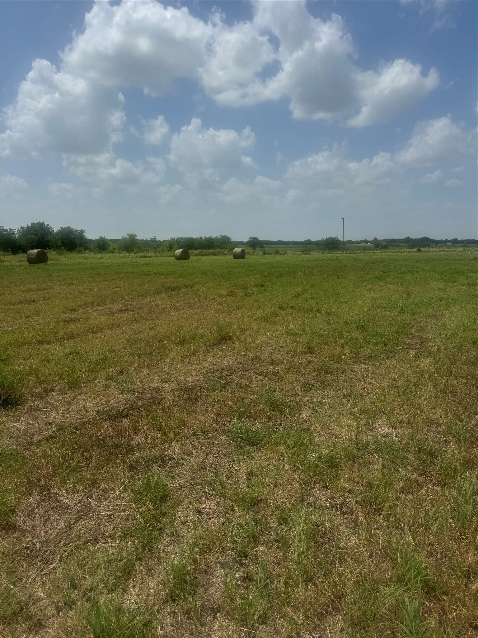 Improved Land For Sale in Navarro County , TBD lot 6 NW County RD 0070 Road, Corsicana, Texas 75110, 0, 0, Garage spaces, 0 Sqft, built in 0, mls#21378607, Real Estate Agent in Corsicana, Homes For Sale in Navarro county, Homes For Sale in Corsicana, Realtor in Corsicana Texas, Real Estate Brokerage Independent Realty Texas, Luminita Cordes Realtor