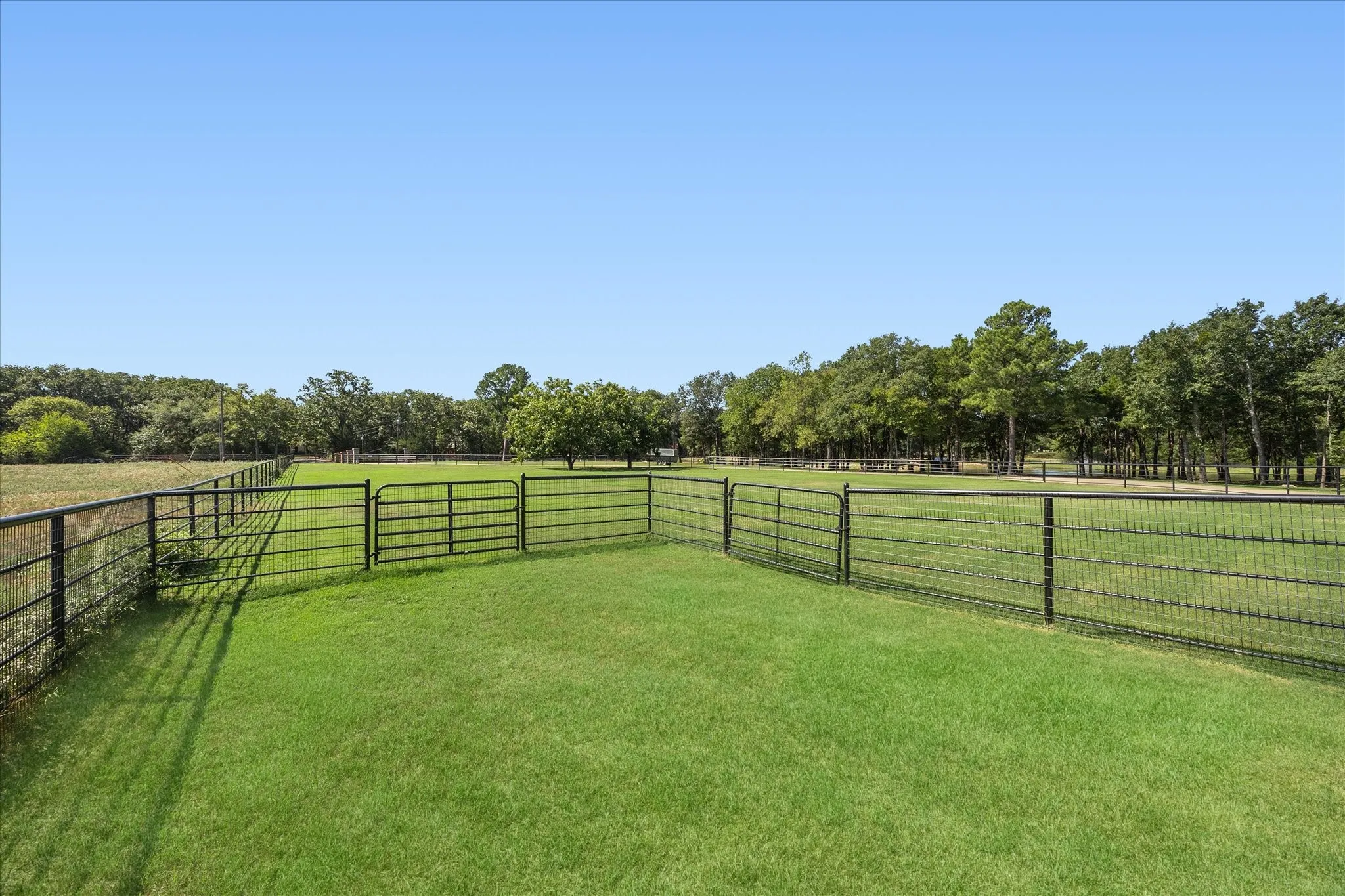 Single Family Residence For Sale in Hunt County , 1276 County Road 3318, Greenville, Texas 75402, 3 Bedroom, 3 Bathroom, 5 Garage spaces, 11,900 Sqft, built in 2007, mls#21383365, Real Estate Agent in Greenville, Homes For Sale in Hunt county, Homes For Sale in Greenville, Realtor in Greenville Texas, Real Estate Brokerage Independent Realty Texas, Luminita Cordes Realtor