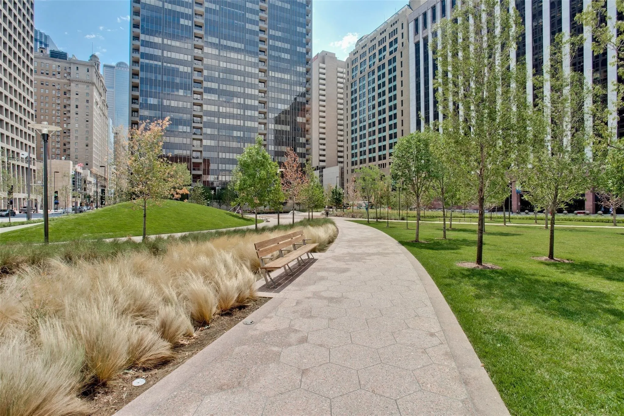 Expansive urban park with a paved walking path, lush green lawns, mature trees, and ornamental grasses