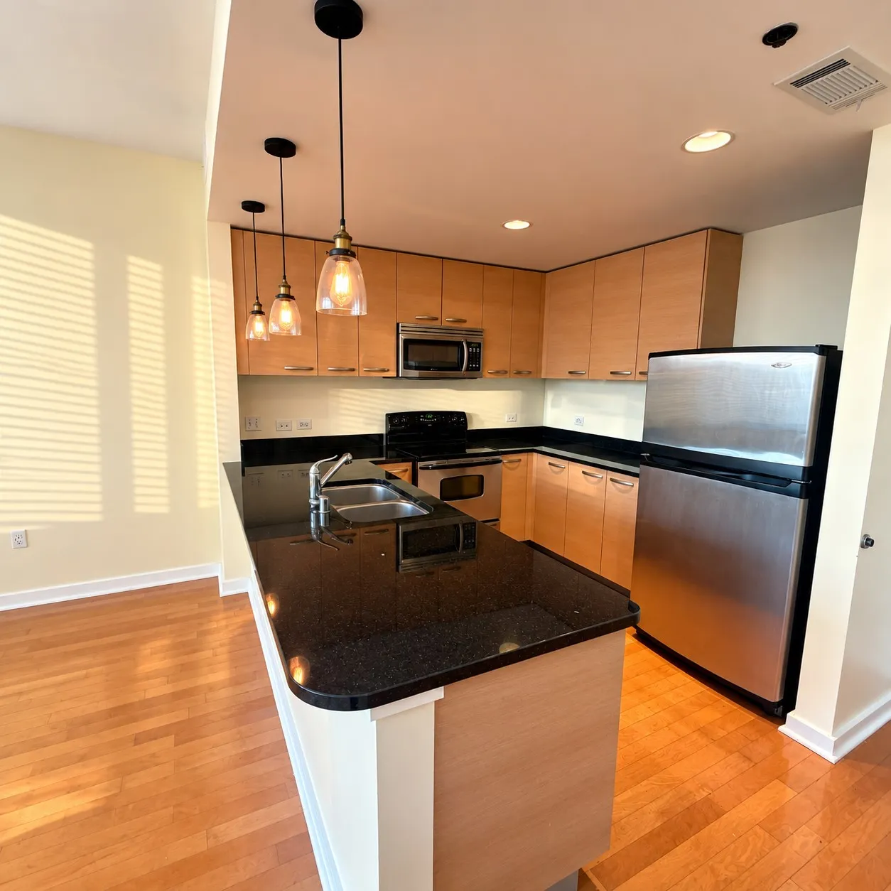 Kitchen featuring stainless steel appliances, wood-finish flooring, a double basin sink, black countertops, and pendant lighting