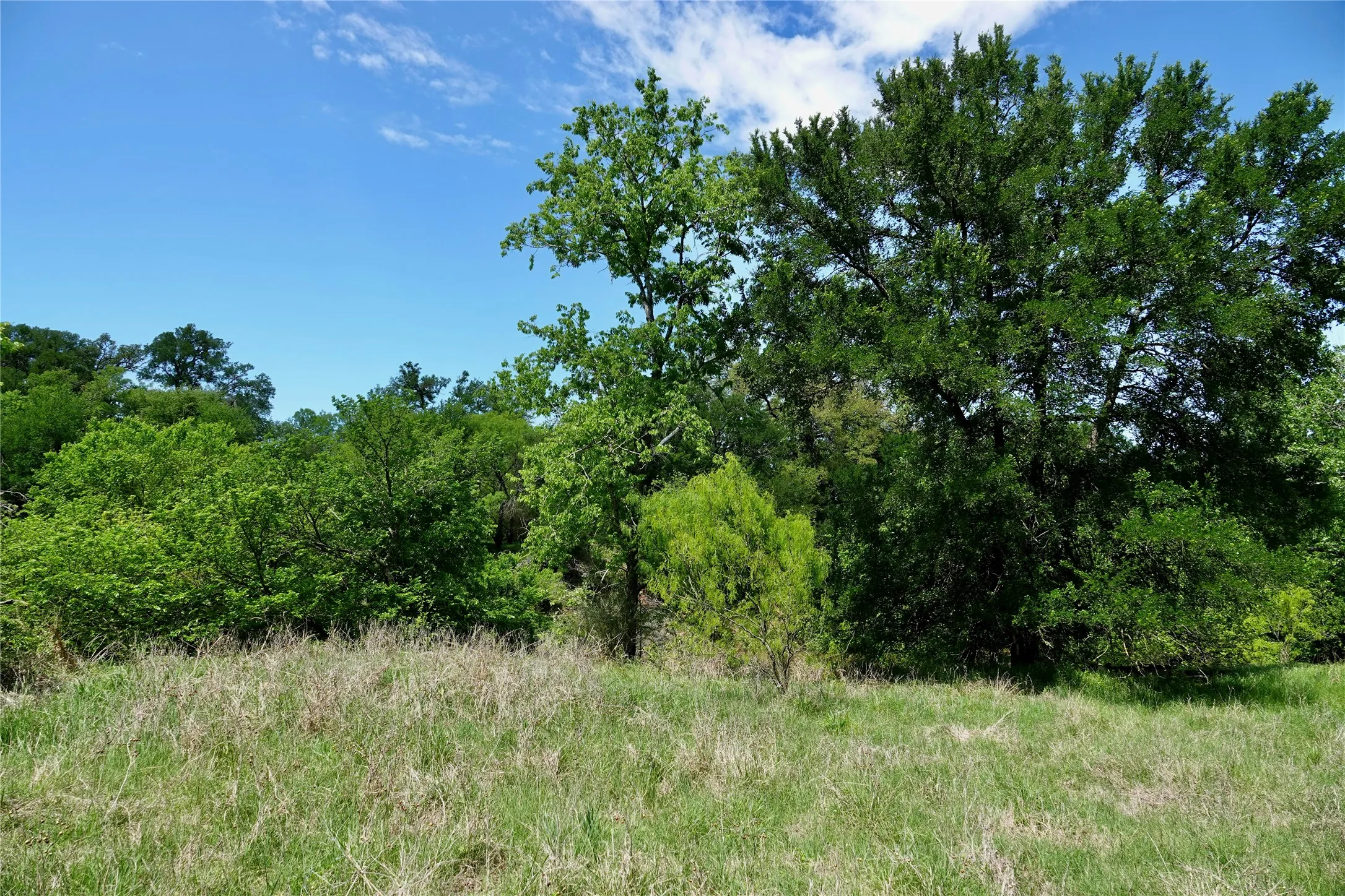 Single Family Residence For Sale in Mills County , 588 County Road 430, Goldthwaite, Texas 76844, 1 Bedroom, 1 Bathroom, Garage spaces, 720 Sqft, built in 1980, mls#21385291, Real Estate Agent in Goldthwaite, Homes For Sale in Mills county, Homes For Sale in Goldthwaite, Realtor in Goldthwaite Texas, Real Estate Brokerage Independent Realty Texas, Luminita Cordes Realtor