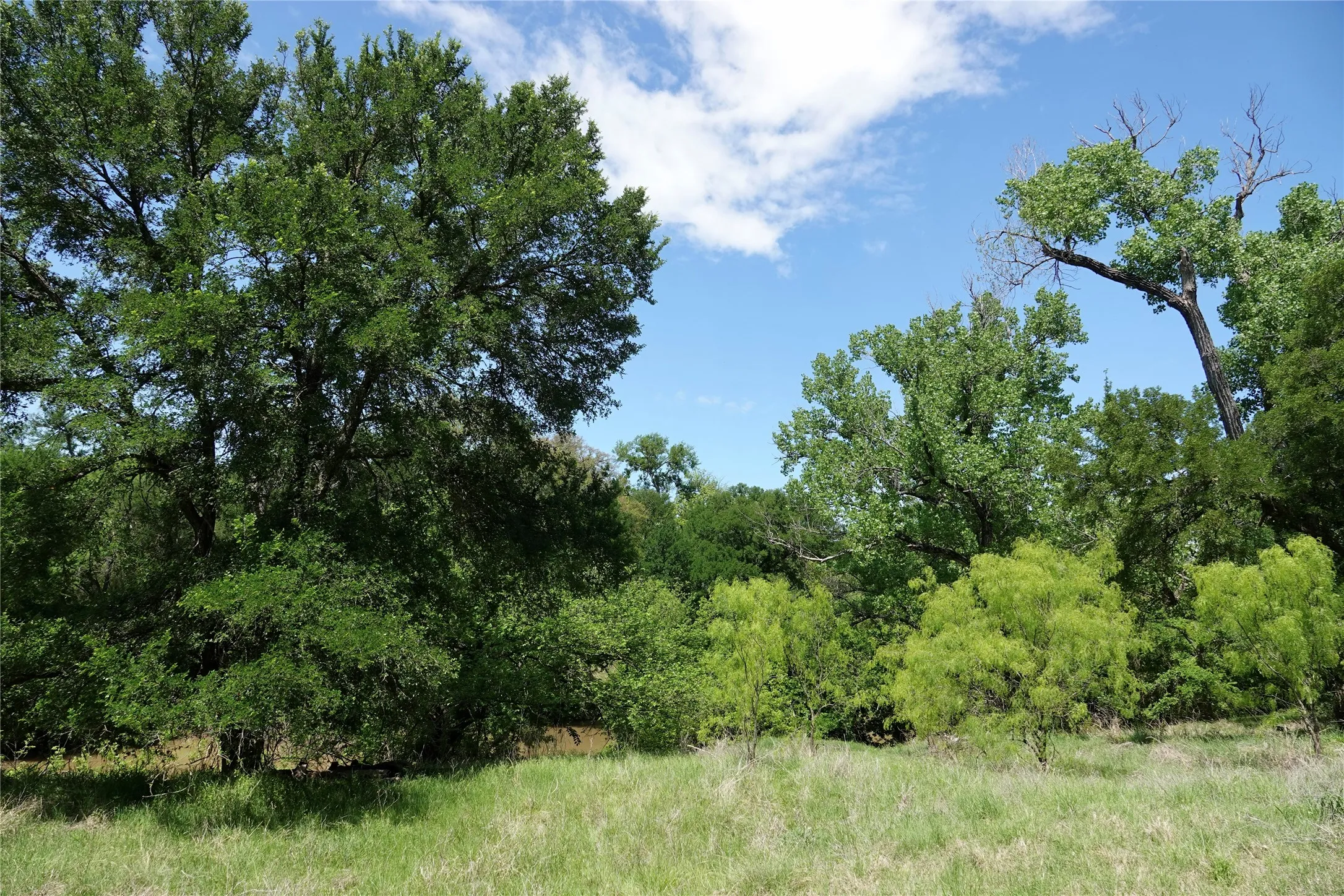 Single Family Residence For Sale in Mills County , 588 County Road 430, Goldthwaite, Texas 76844, 1 Bedroom, 1 Bathroom, Garage spaces, 720 Sqft, built in 1980, mls#21385291, Real Estate Agent in Goldthwaite, Homes For Sale in Mills county, Homes For Sale in Goldthwaite, Realtor in Goldthwaite Texas, Real Estate Brokerage Independent Realty Texas, Luminita Cordes Realtor