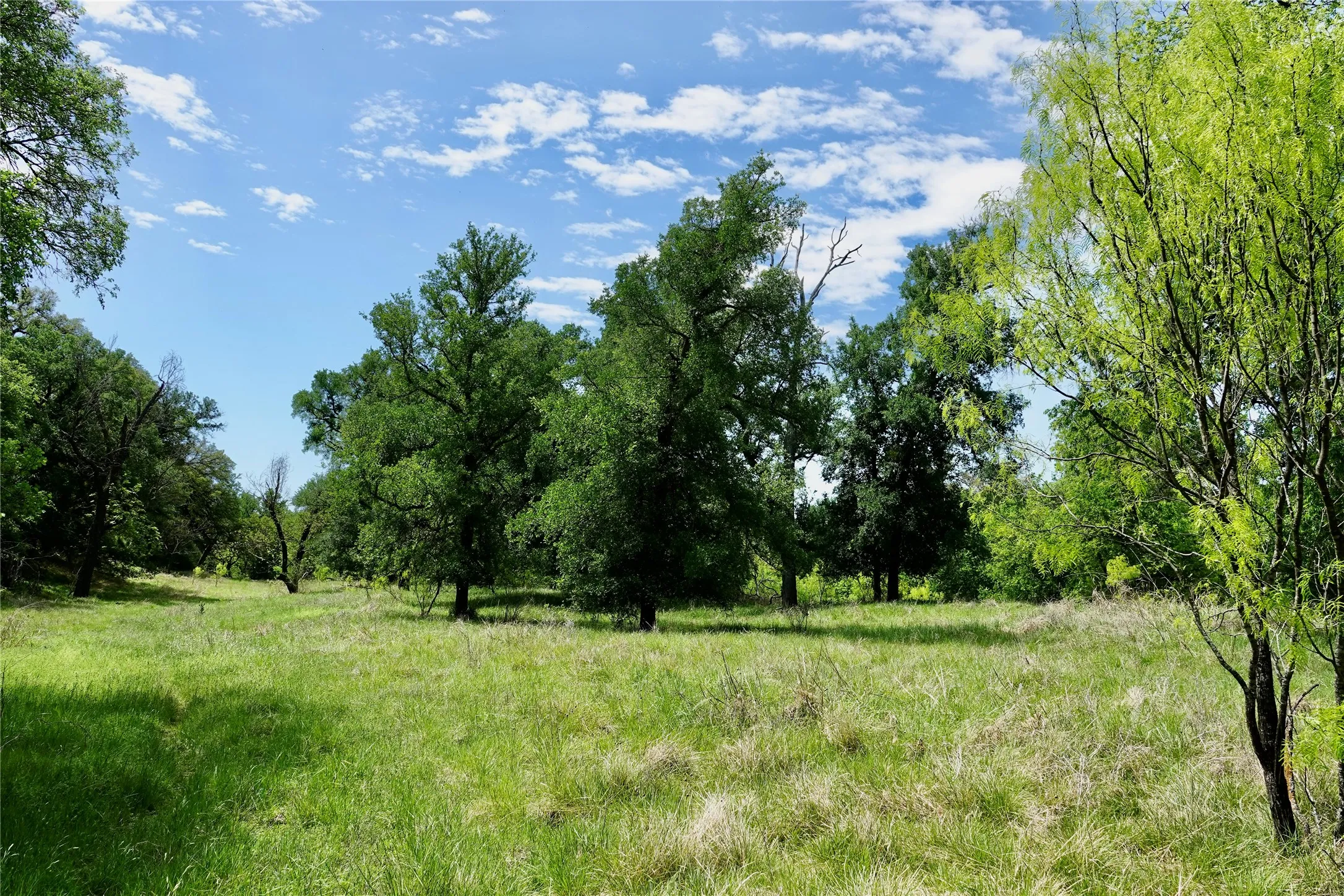 Single Family Residence For Sale in Mills County , 588 County Road 430, Goldthwaite, Texas 76844, 1 Bedroom, 1 Bathroom, Garage spaces, 720 Sqft, built in 1980, mls#21385291, Real Estate Agent in Goldthwaite, Homes For Sale in Mills county, Homes For Sale in Goldthwaite, Realtor in Goldthwaite Texas, Real Estate Brokerage Independent Realty Texas, Luminita Cordes Realtor