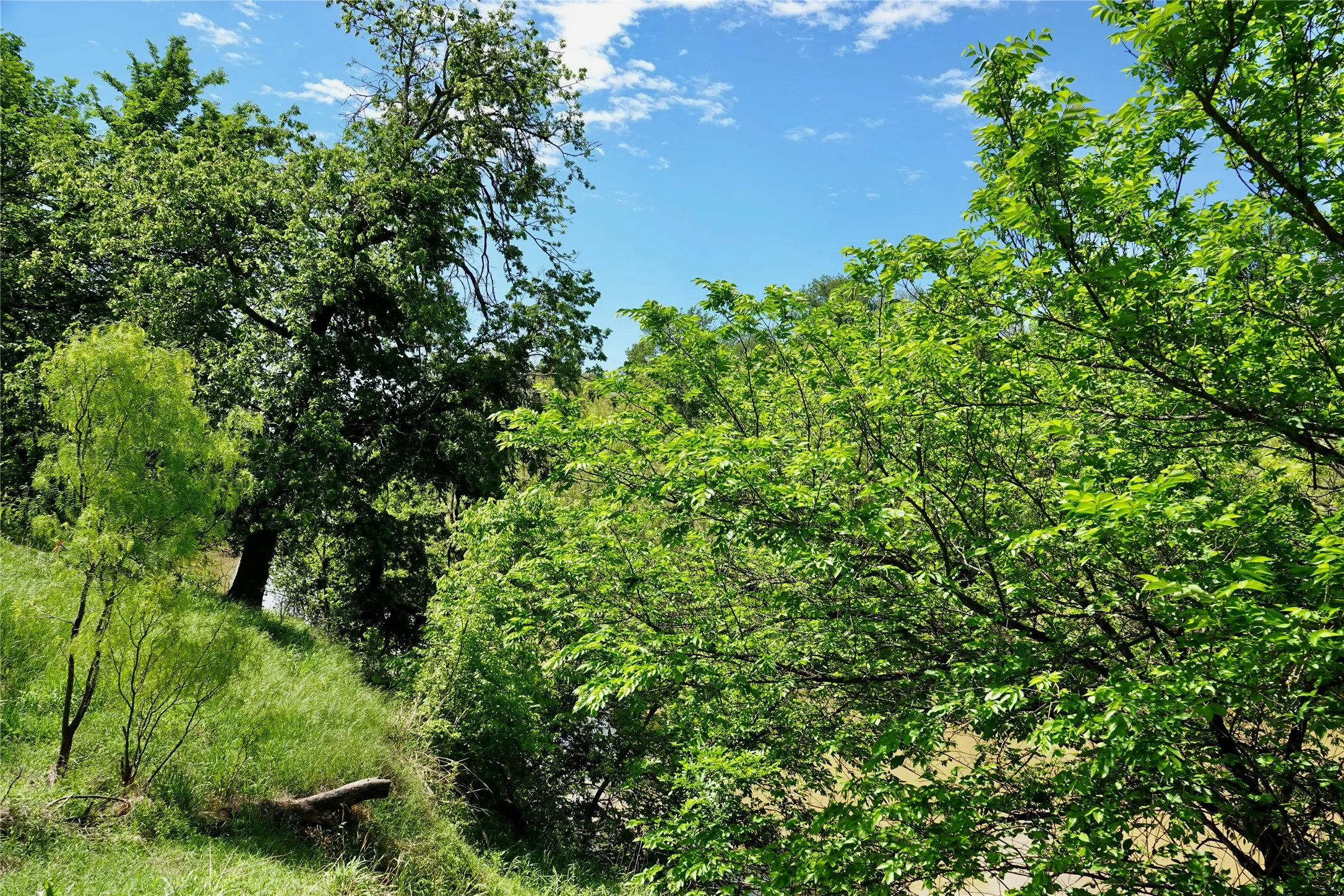 Ranch For Sale in Mills County , 588 S County Road 430, Goldthwaite, Texas 76844, 0, 0, Garage spaces, 0 Sqft, built in 1980, mls#21385300, Real Estate Agent in Goldthwaite, Homes For Sale in Mills county, Homes For Sale in Goldthwaite, Realtor in Goldthwaite Texas, Real Estate Brokerage Independent Realty Texas, Luminita Cordes Realtor