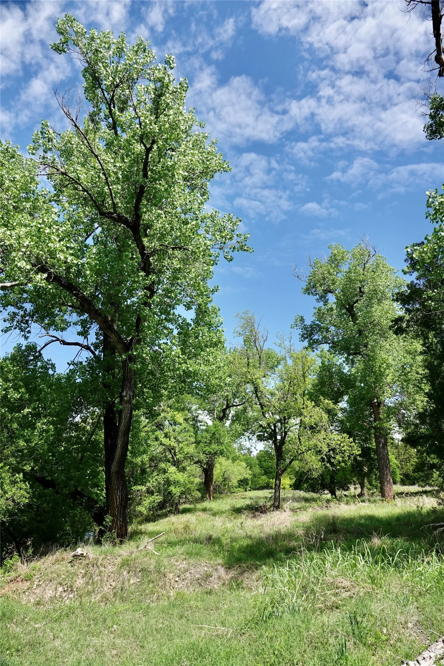 Ranch For Sale in Mills County , 588 S County Road 430, Goldthwaite, Texas 76844, 0, 0, Garage spaces, 0 Sqft, built in 1980, mls#21385300, Real Estate Agent in Goldthwaite, Homes For Sale in Mills county, Homes For Sale in Goldthwaite, Realtor in Goldthwaite Texas, Real Estate Brokerage Independent Realty Texas, Luminita Cordes Realtor