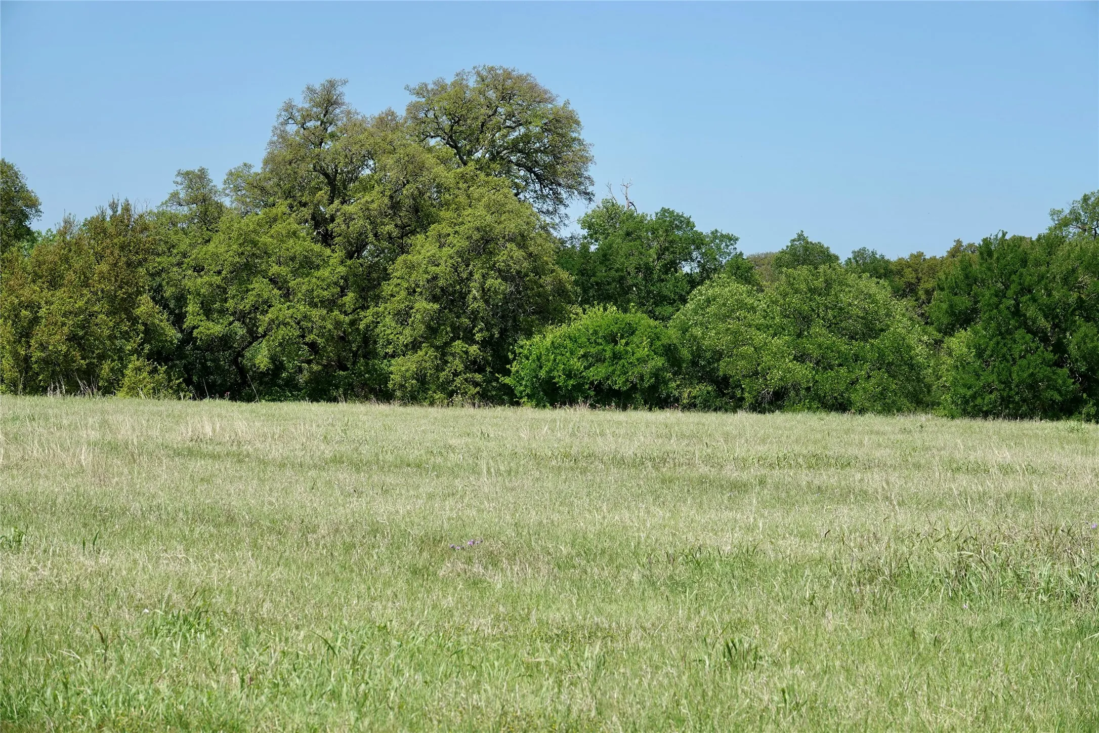 Ranch For Sale in Mills County , 588 S County Road 430, Goldthwaite, Texas 76844, 0, 0, Garage spaces, 0 Sqft, built in 1980, mls#21385300, Real Estate Agent in Goldthwaite, Homes For Sale in Mills county, Homes For Sale in Goldthwaite, Realtor in Goldthwaite Texas, Real Estate Brokerage Independent Realty Texas, Luminita Cordes Realtor