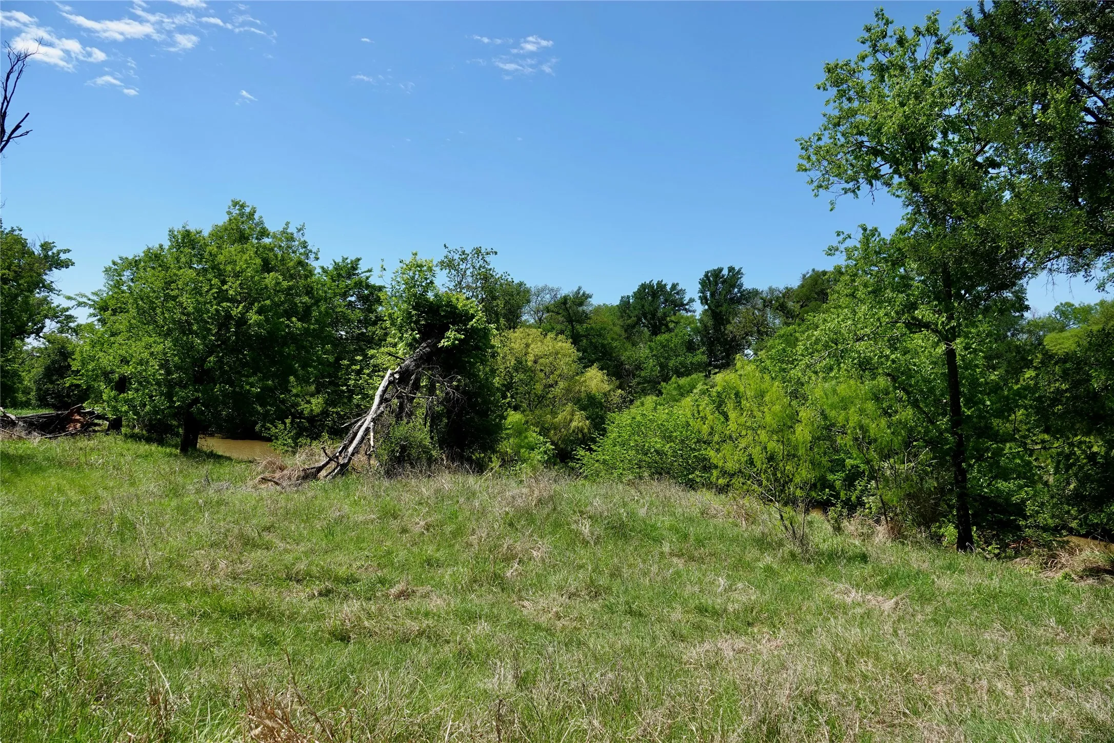 Ranch For Sale in Mills County , 588 S County Road 430, Goldthwaite, Texas 76844, 0, 0, Garage spaces, 0 Sqft, built in 1980, mls#21385300, Real Estate Agent in Goldthwaite, Homes For Sale in Mills county, Homes For Sale in Goldthwaite, Realtor in Goldthwaite Texas, Real Estate Brokerage Independent Realty Texas, Luminita Cordes Realtor