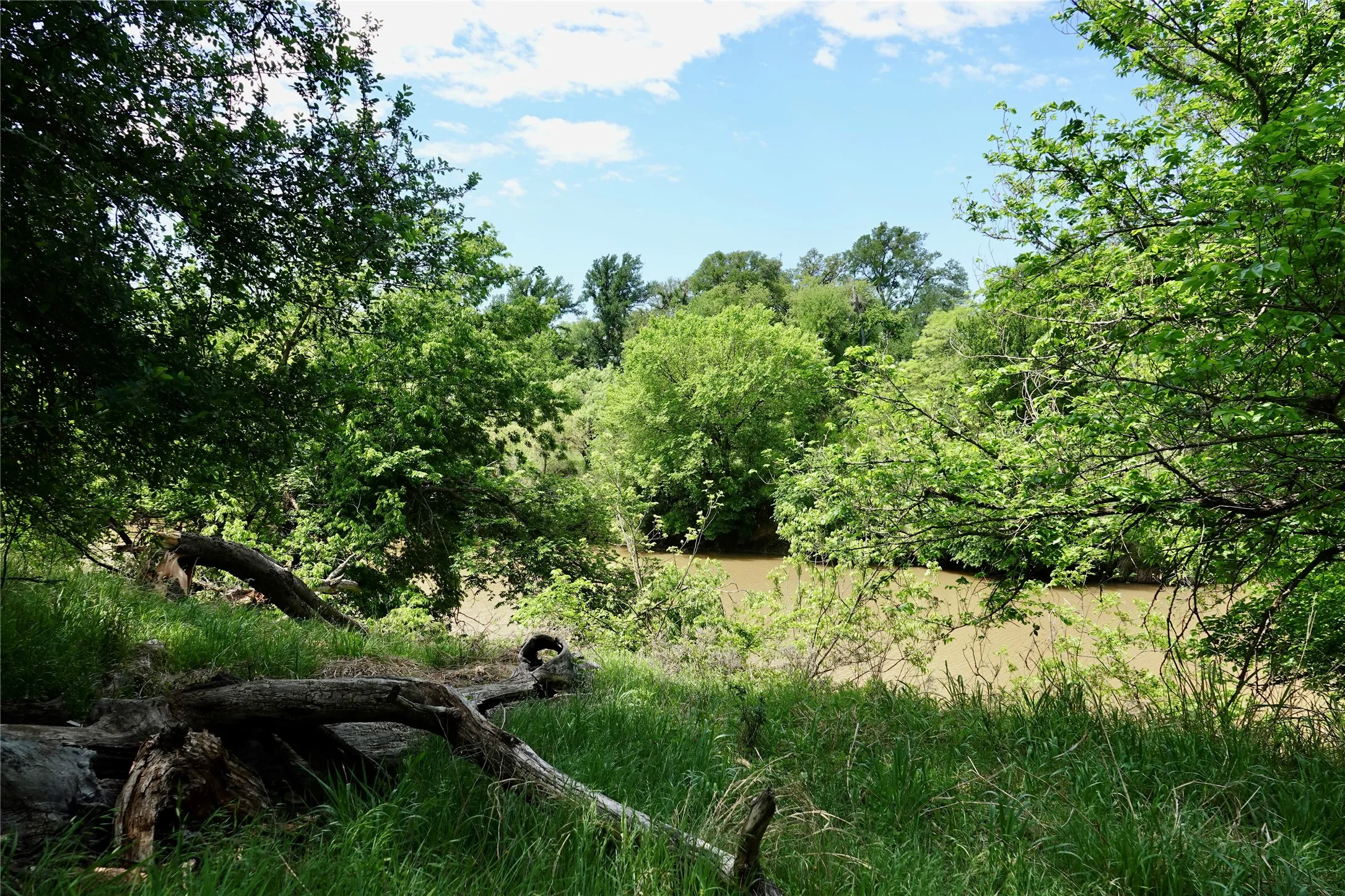 Ranch For Sale in Mills County , 588 S County Road 430, Goldthwaite, Texas 76844, 0, 0, Garage spaces, 0 Sqft, built in 1980, mls#21385300, Real Estate Agent in Goldthwaite, Homes For Sale in Mills county, Homes For Sale in Goldthwaite, Realtor in Goldthwaite Texas, Real Estate Brokerage Independent Realty Texas, Luminita Cordes Realtor