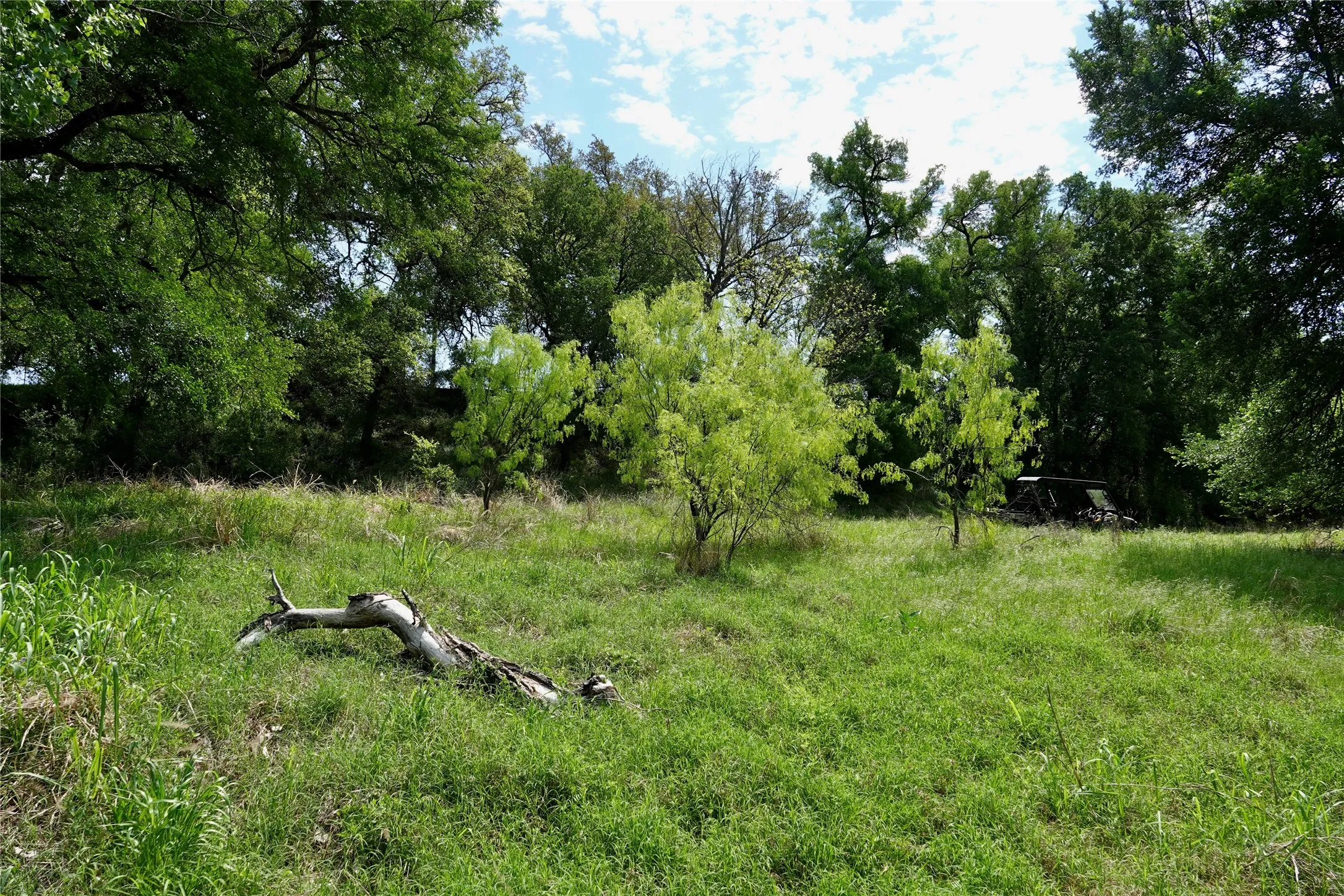 Ranch For Sale in Mills County , 588 S County Road 430, Goldthwaite, Texas 76844, 0, 0, Garage spaces, 0 Sqft, built in 1980, mls#21385300, Real Estate Agent in Goldthwaite, Homes For Sale in Mills county, Homes For Sale in Goldthwaite, Realtor in Goldthwaite Texas, Real Estate Brokerage Independent Realty Texas, Luminita Cordes Realtor