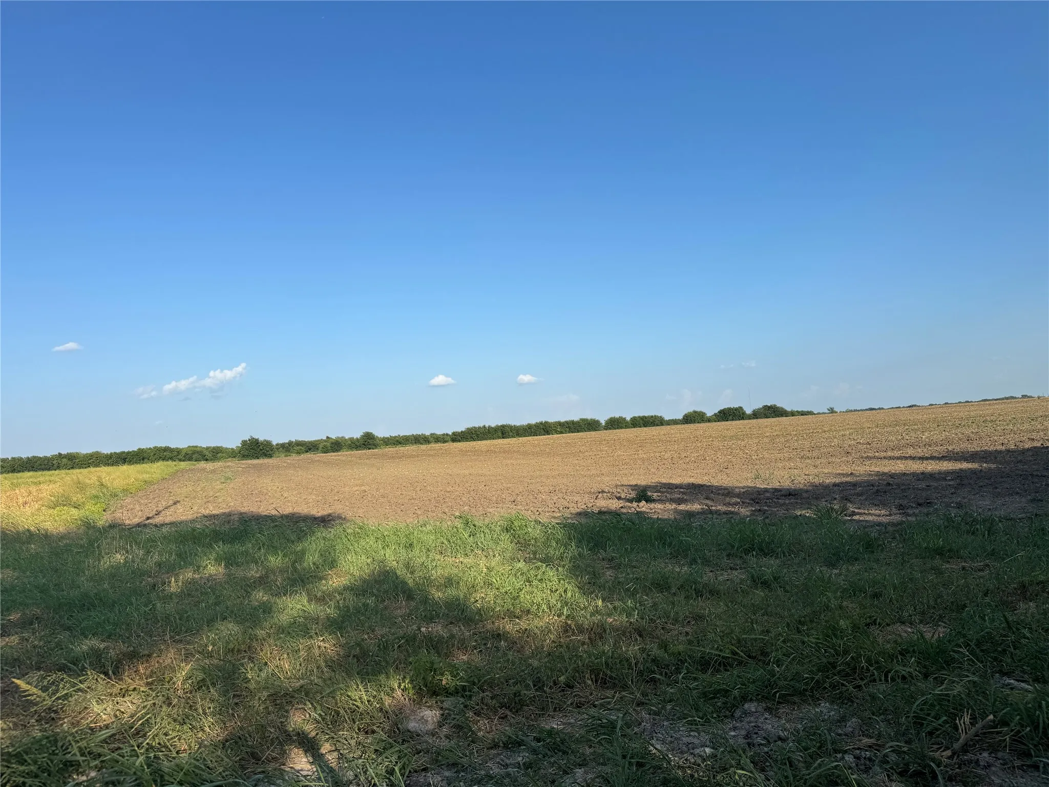 Expansive open land featuring cultivated fields and a treeline horizon