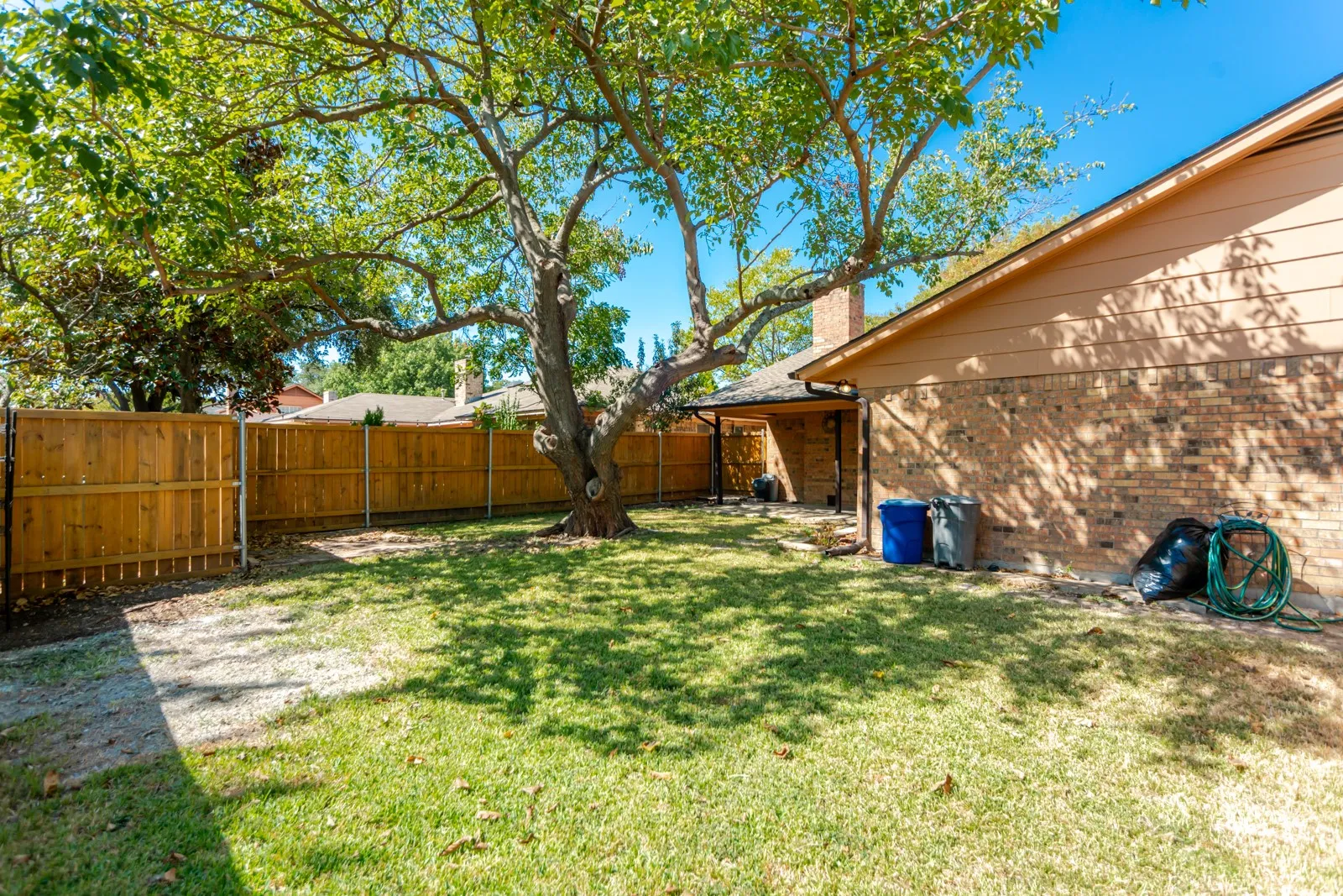Expansive backyard featuring a mature tree, natural grass, and a wood privacy fence