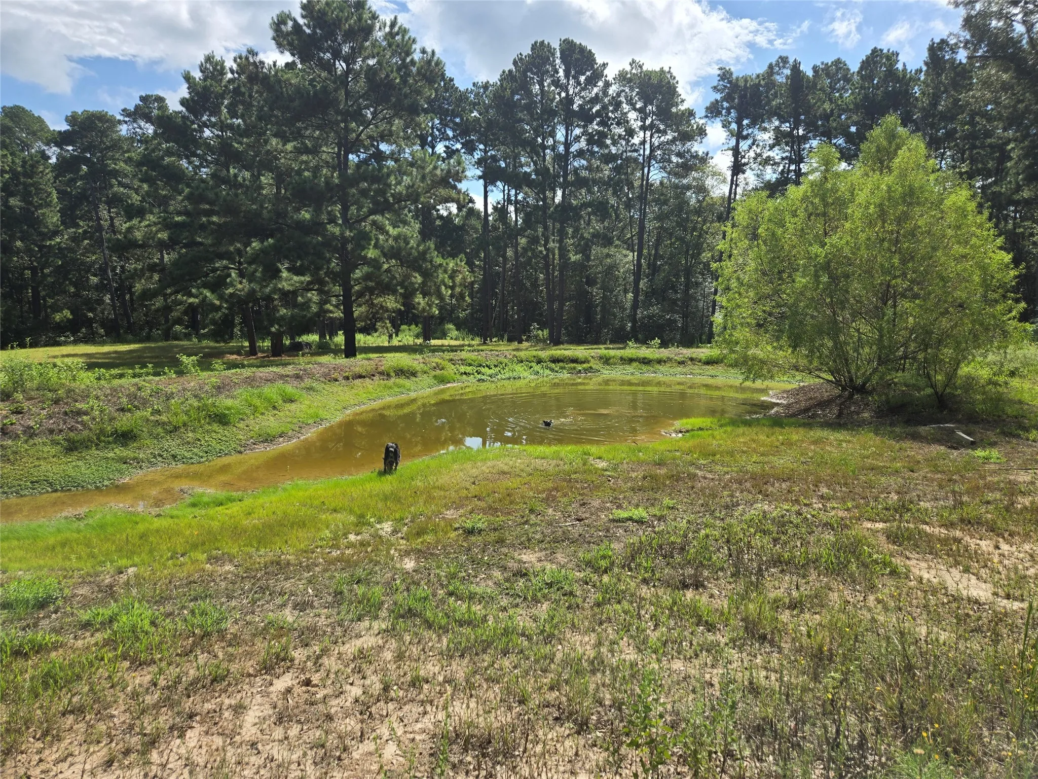 Mobile Home For Sale in Leon County , 5789 Fm 811, Centerville, Texas 75833, 4 Bedroom, 2 Bathroom, Garage spaces, 2,340 Sqft, built in 2019, mls#21385276, Real Estate Agent in Centerville, Homes For Sale in Leon county, Homes For Sale in Centerville, Realtor in Centerville Texas, Real Estate Brokerage Independent Realty Texas, Luminita Cordes Realtor