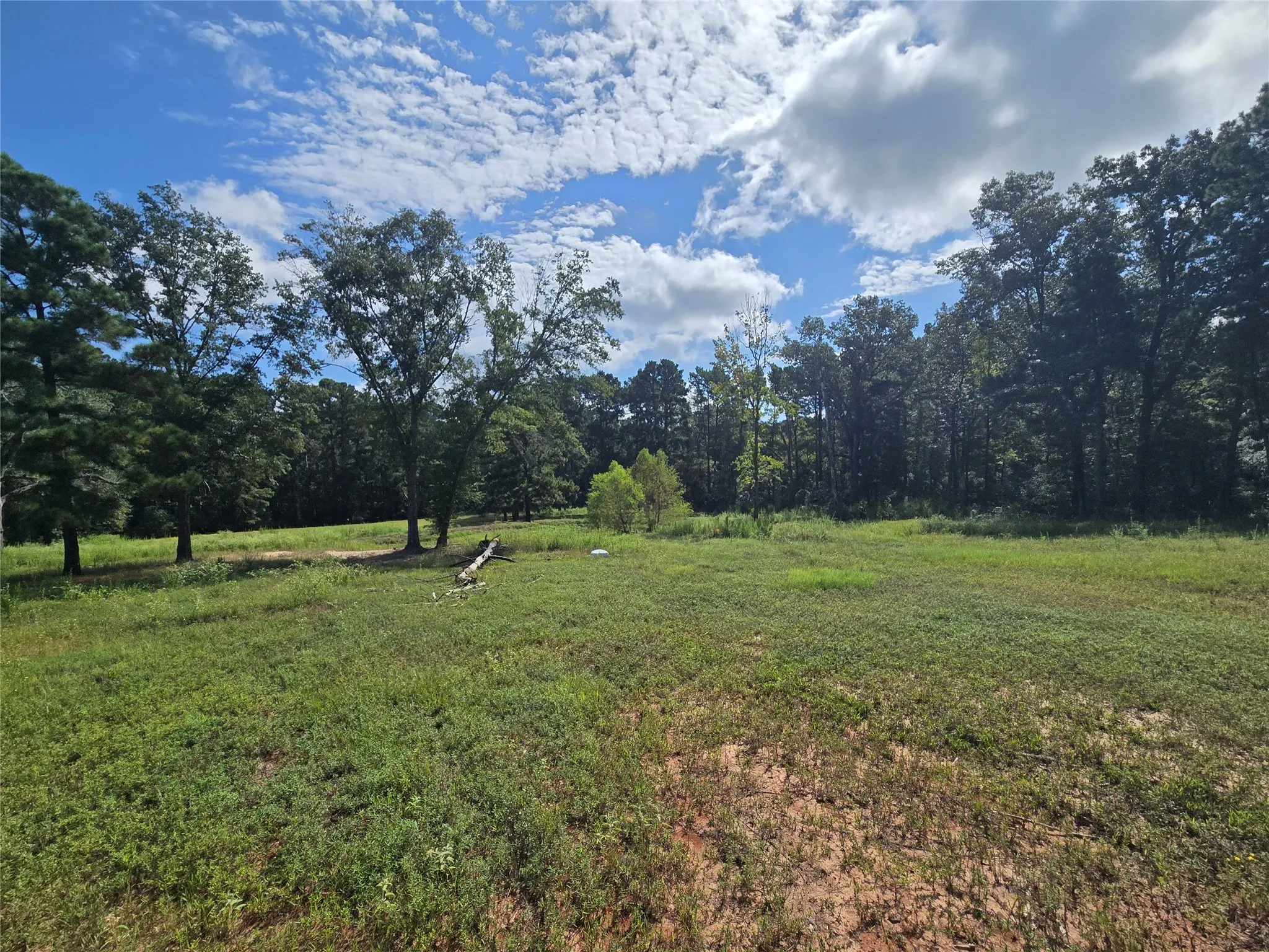 Mobile Home For Sale in Leon County , 5789 Fm 811, Centerville, Texas 75833, 4 Bedroom, 2 Bathroom, Garage spaces, 2,340 Sqft, built in 2019, mls#21385276, Real Estate Agent in Centerville, Homes For Sale in Leon county, Homes For Sale in Centerville, Realtor in Centerville Texas, Real Estate Brokerage Independent Realty Texas, Luminita Cordes Realtor